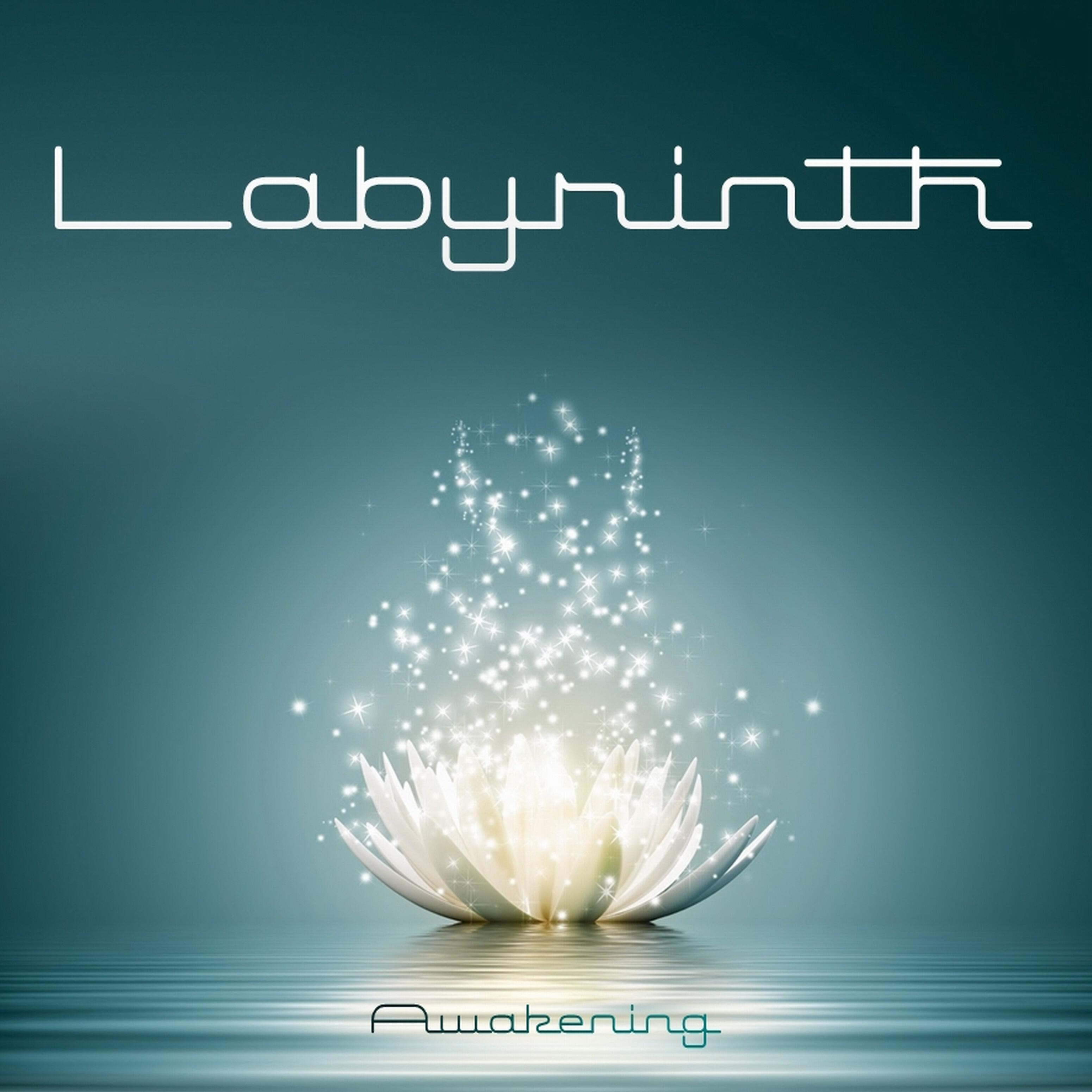 Релиз Awakening