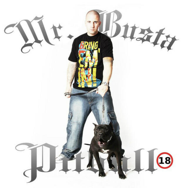 Релиз Pitbull