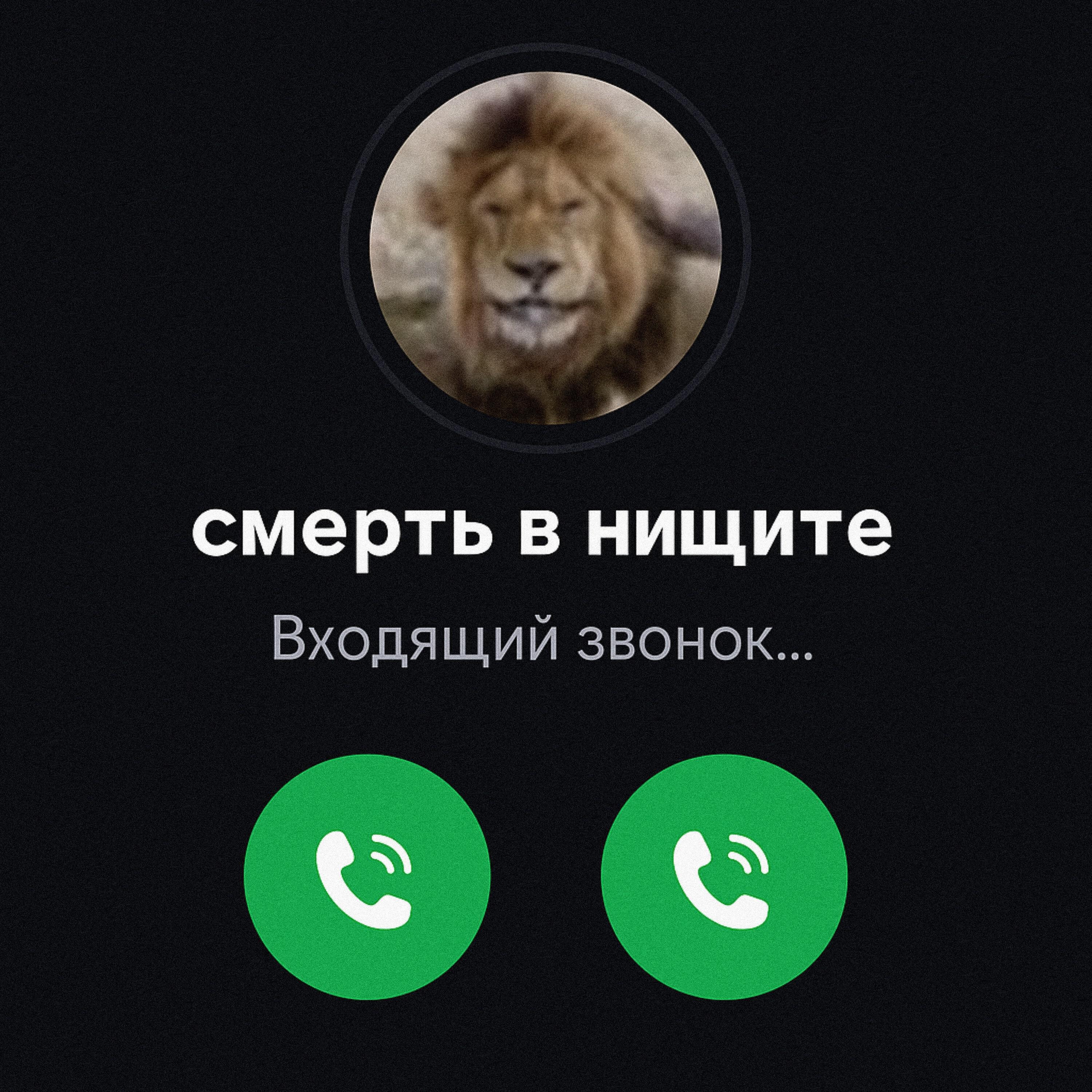 Релиз смерть в нищите