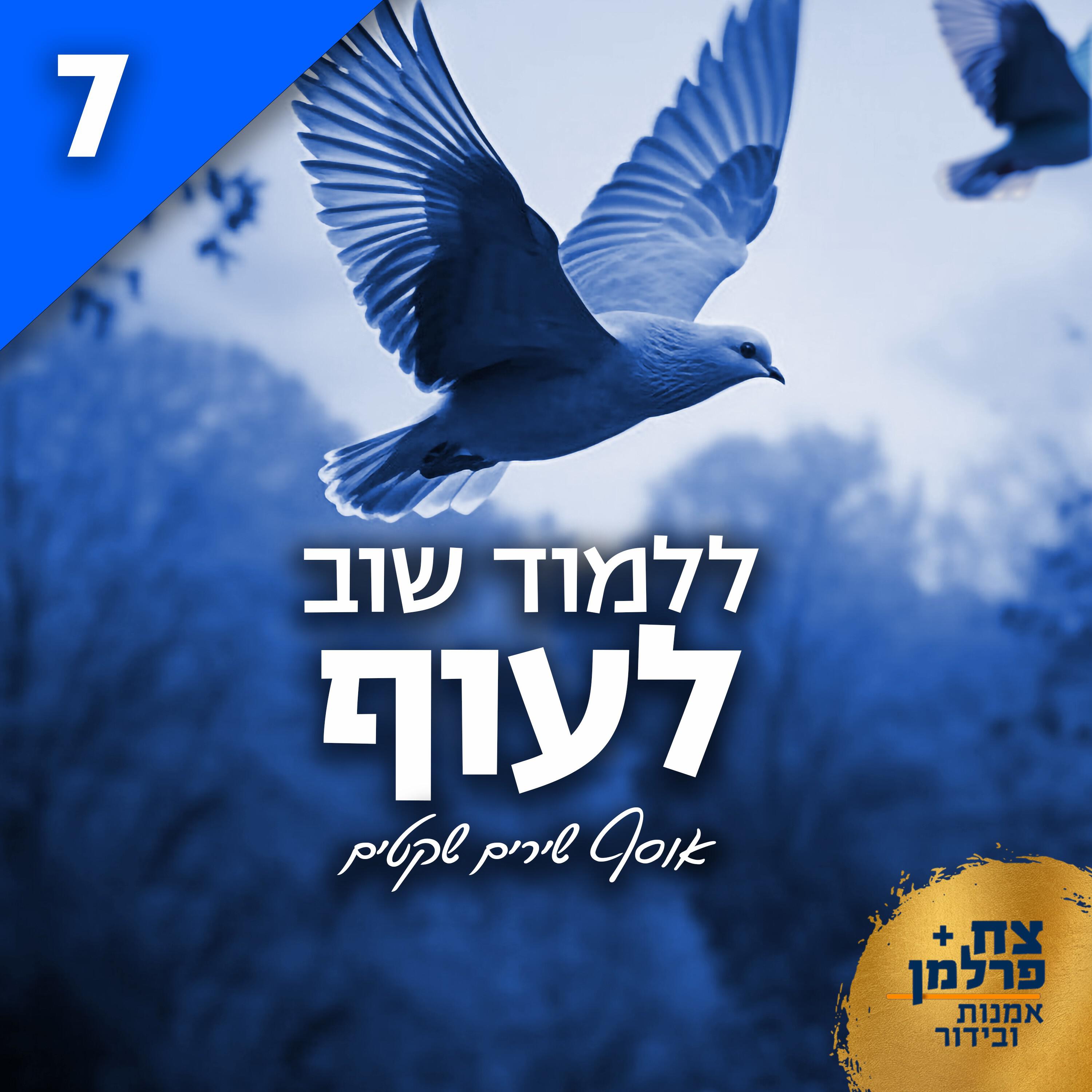 Релиз ללמוד שוב לעוף 7