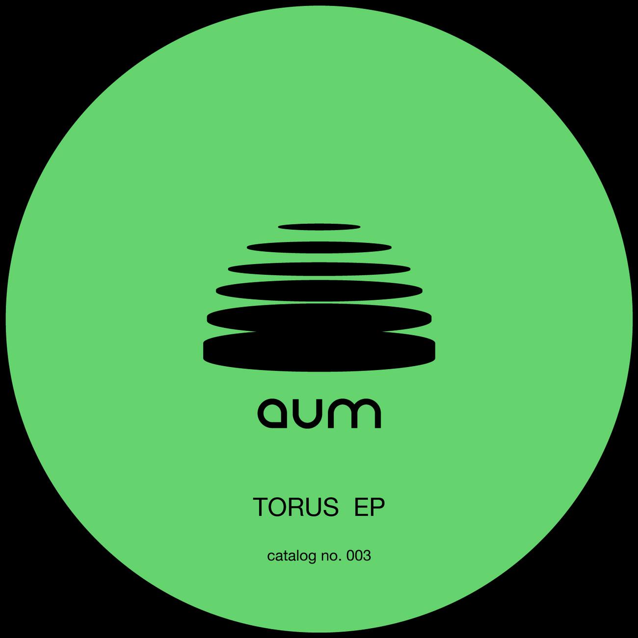 Релиз TORUS