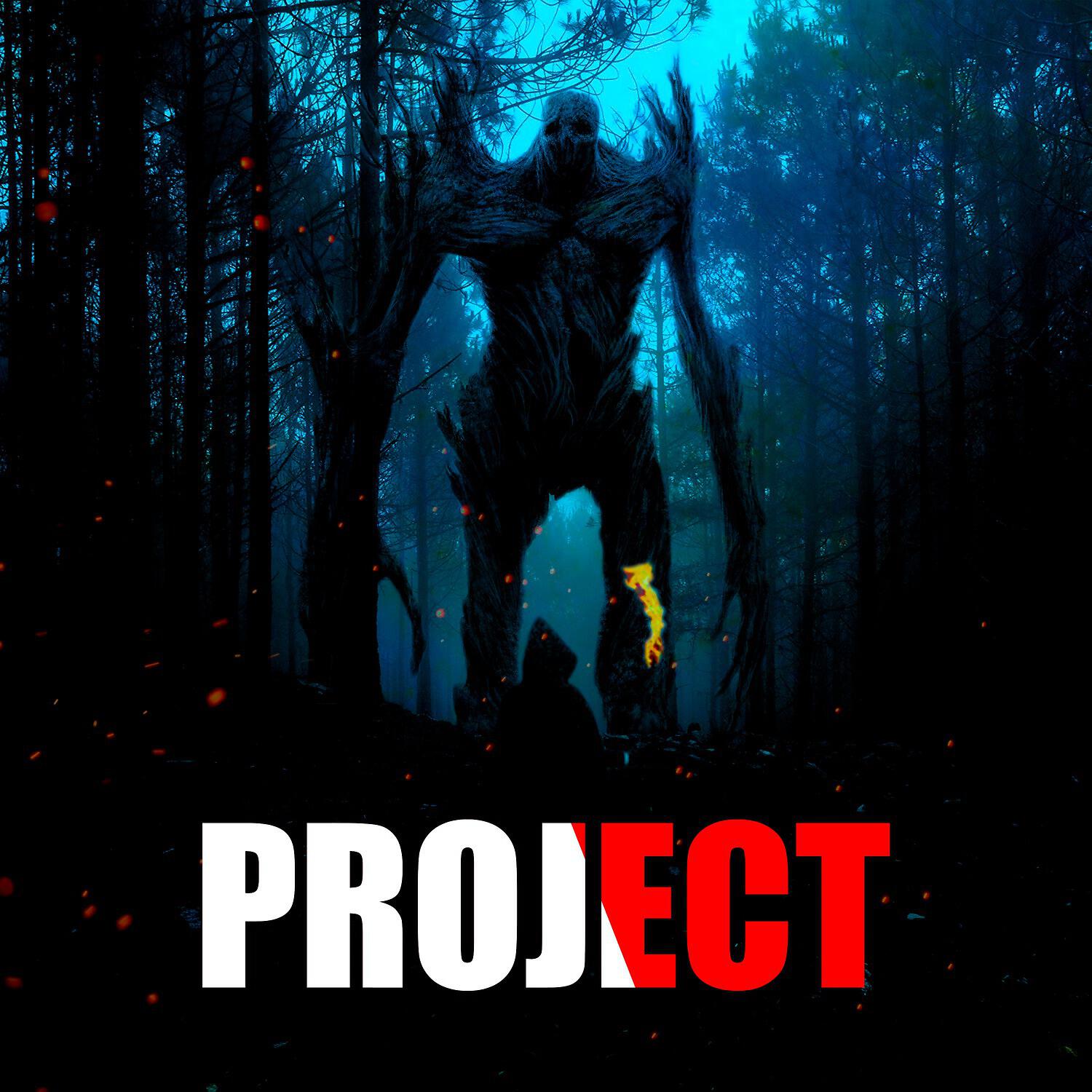 Релиз Project