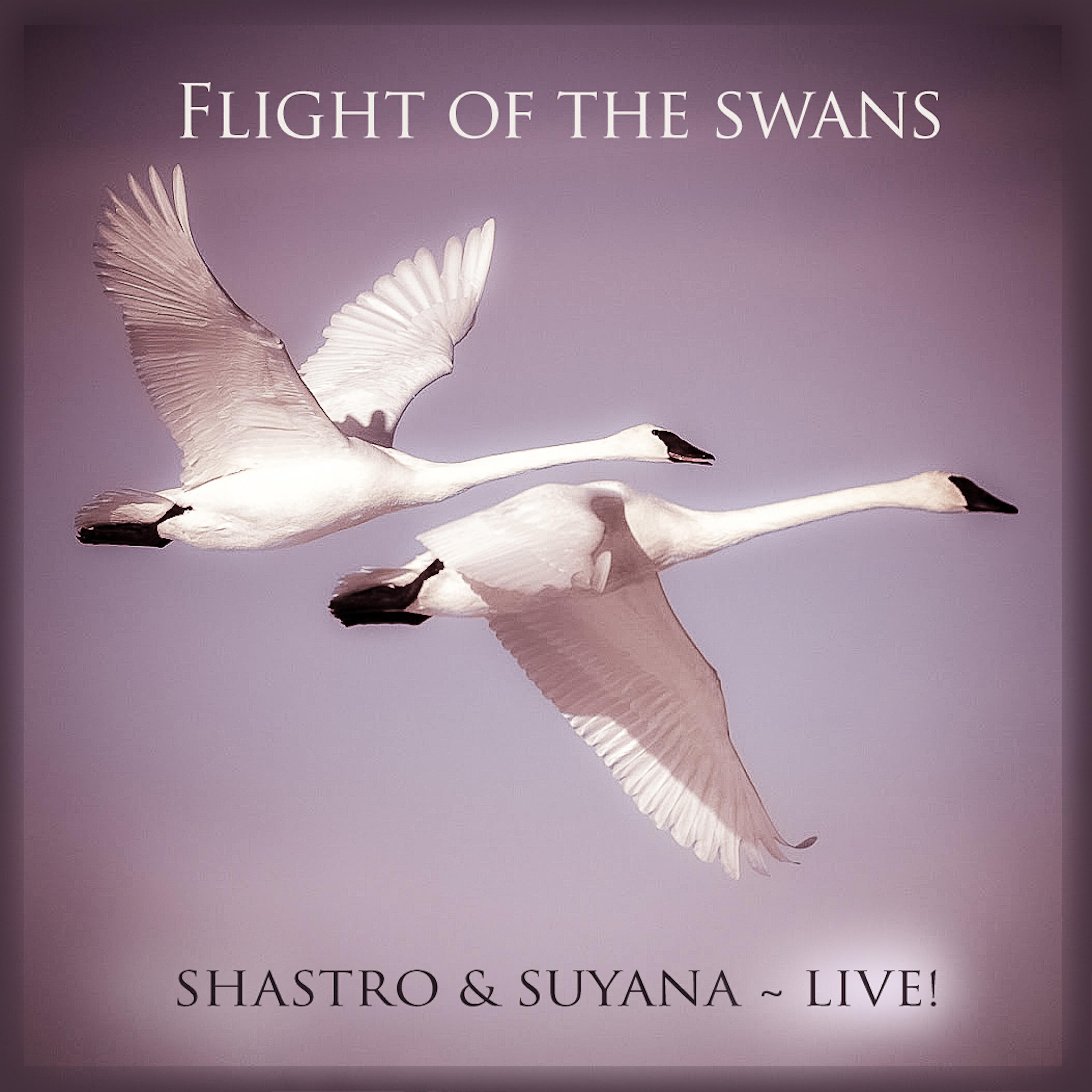 Релиз Flight of the Swans (Live)