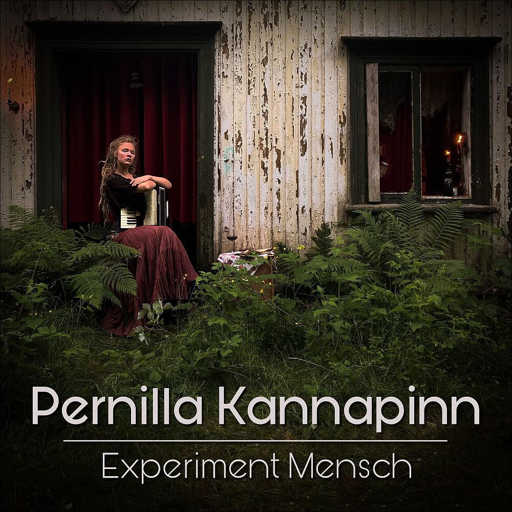 Релиз Experiment Mensch