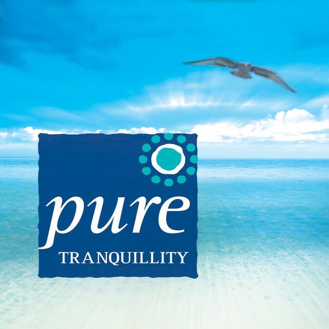 Релиз Pure Tranquility