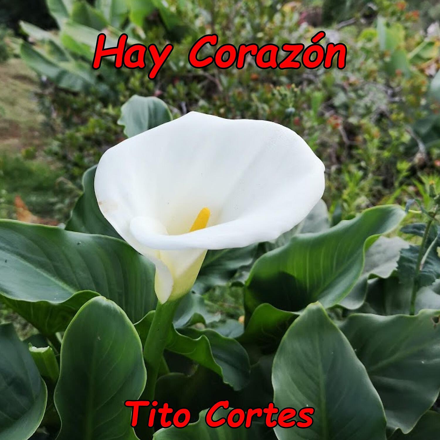 Релиз Hay Corazón