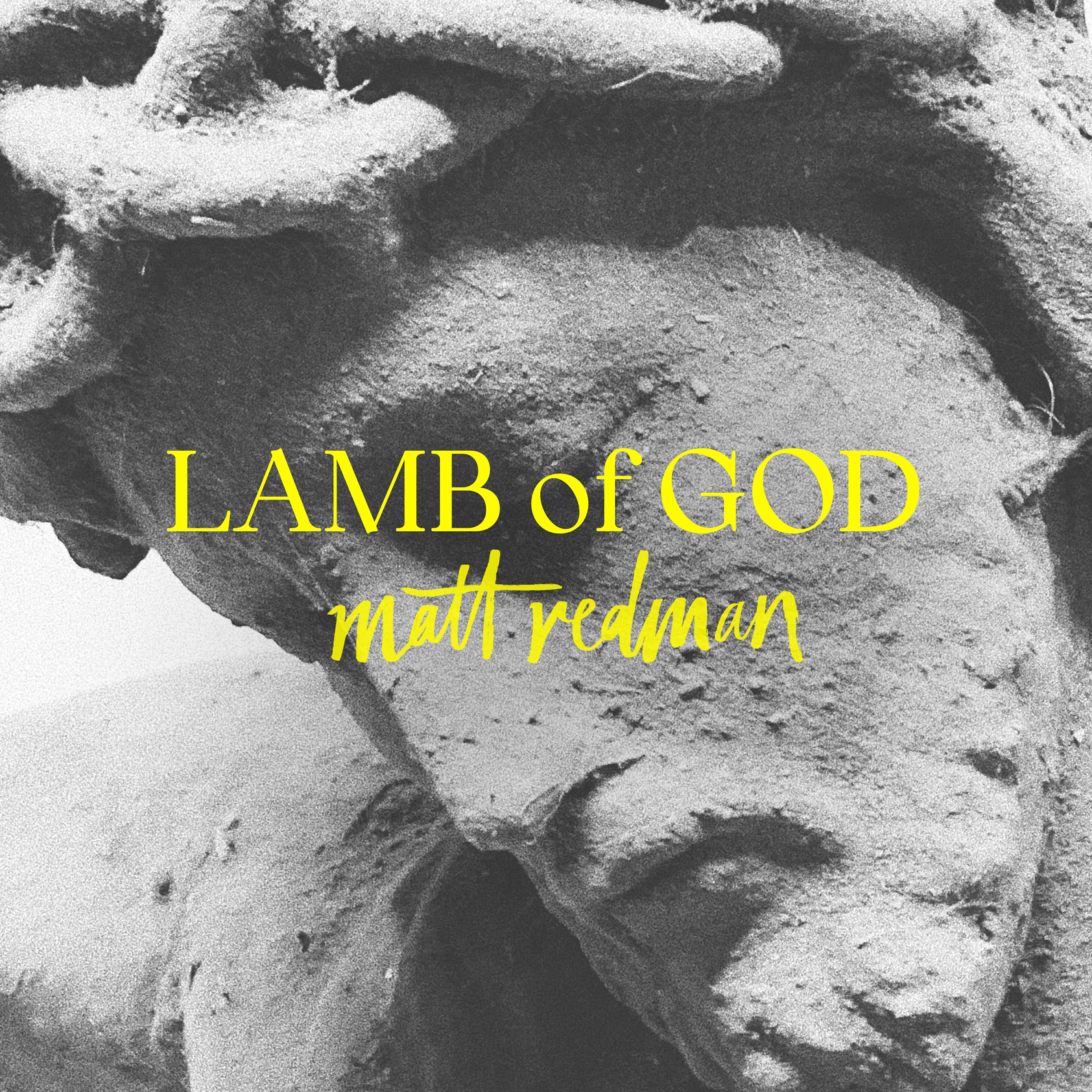 Релиз Lamb of God