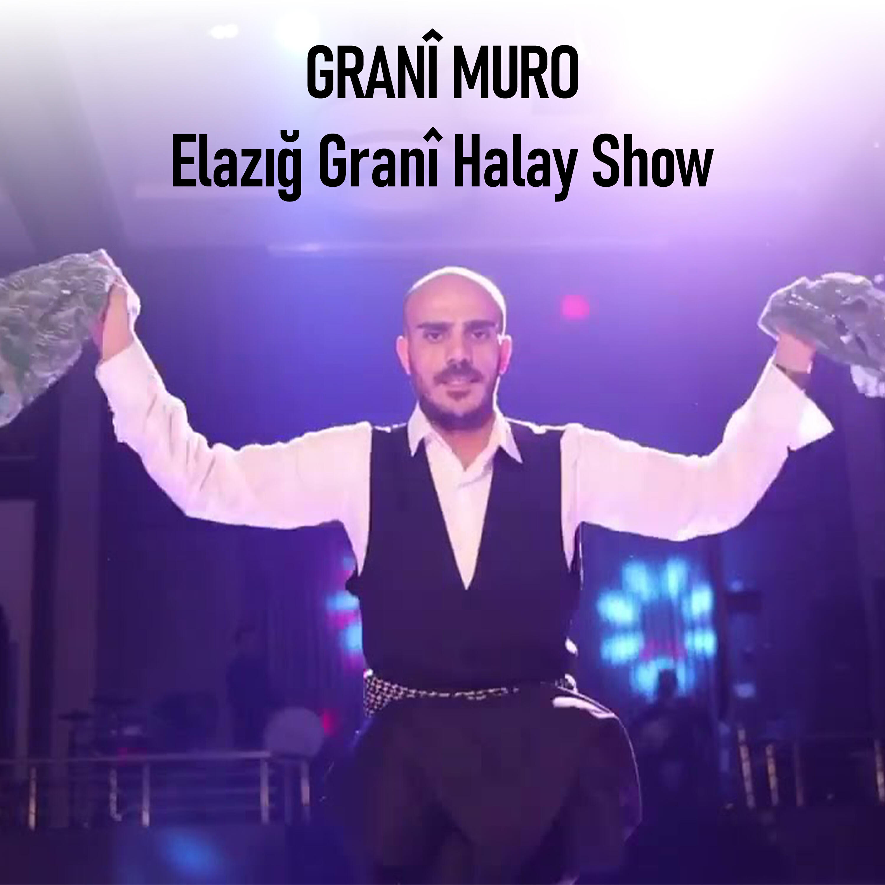 Релиз Elazığ Granî Halay Show
