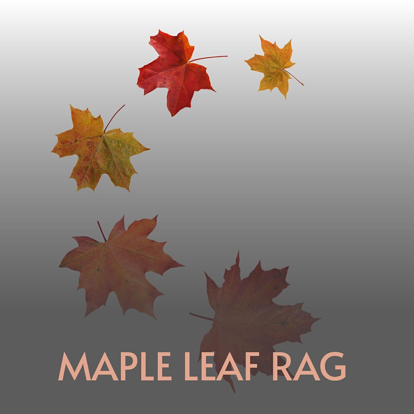 Релиз Maple Leaf Rag