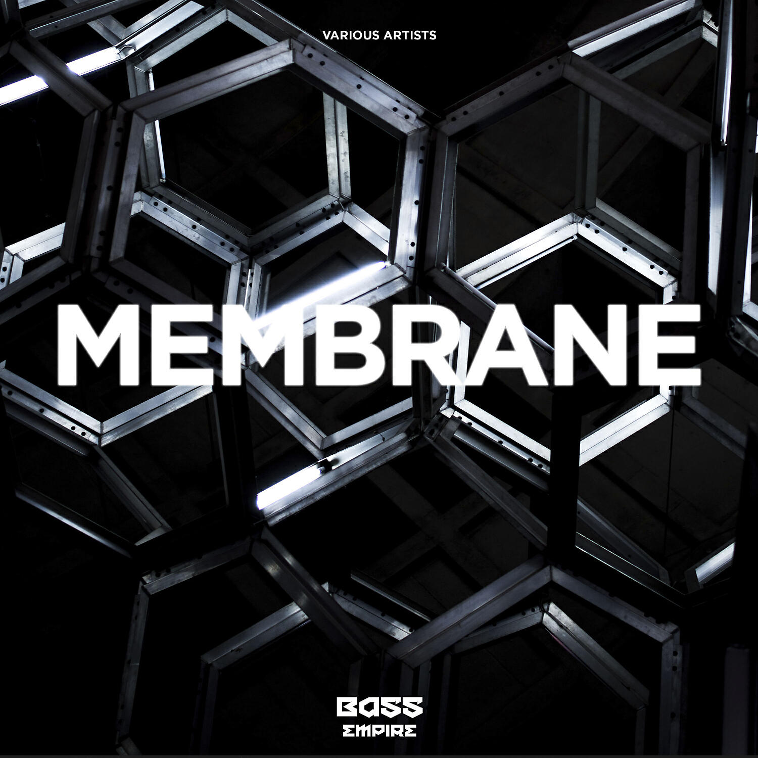 Релиз Membrane
