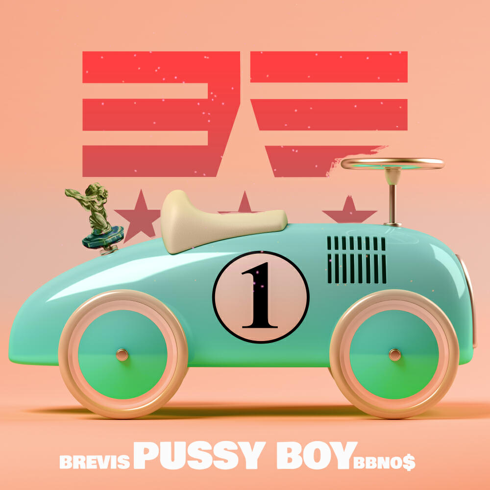 Постер альбома Pussy Boy
