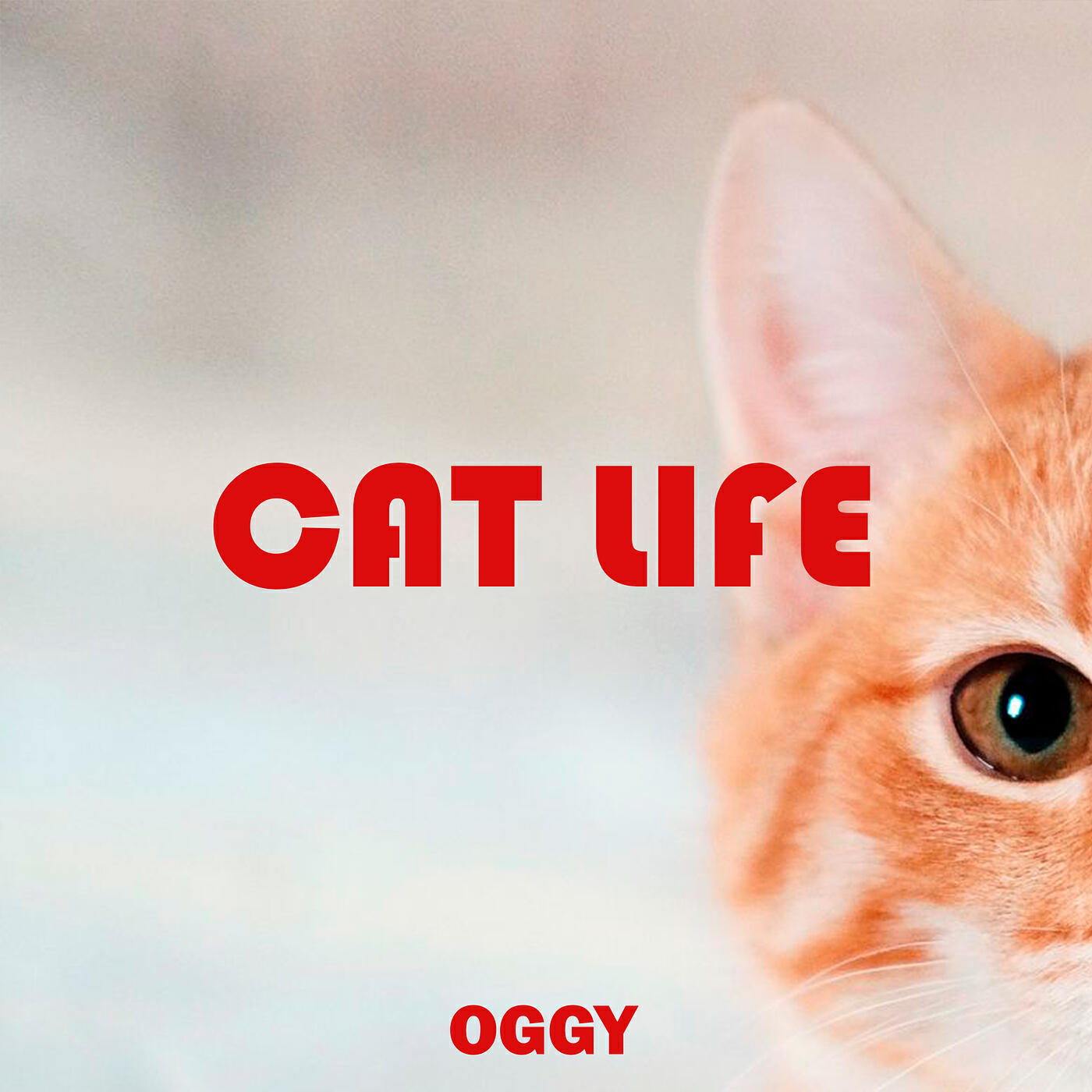 Релиз Cat Life