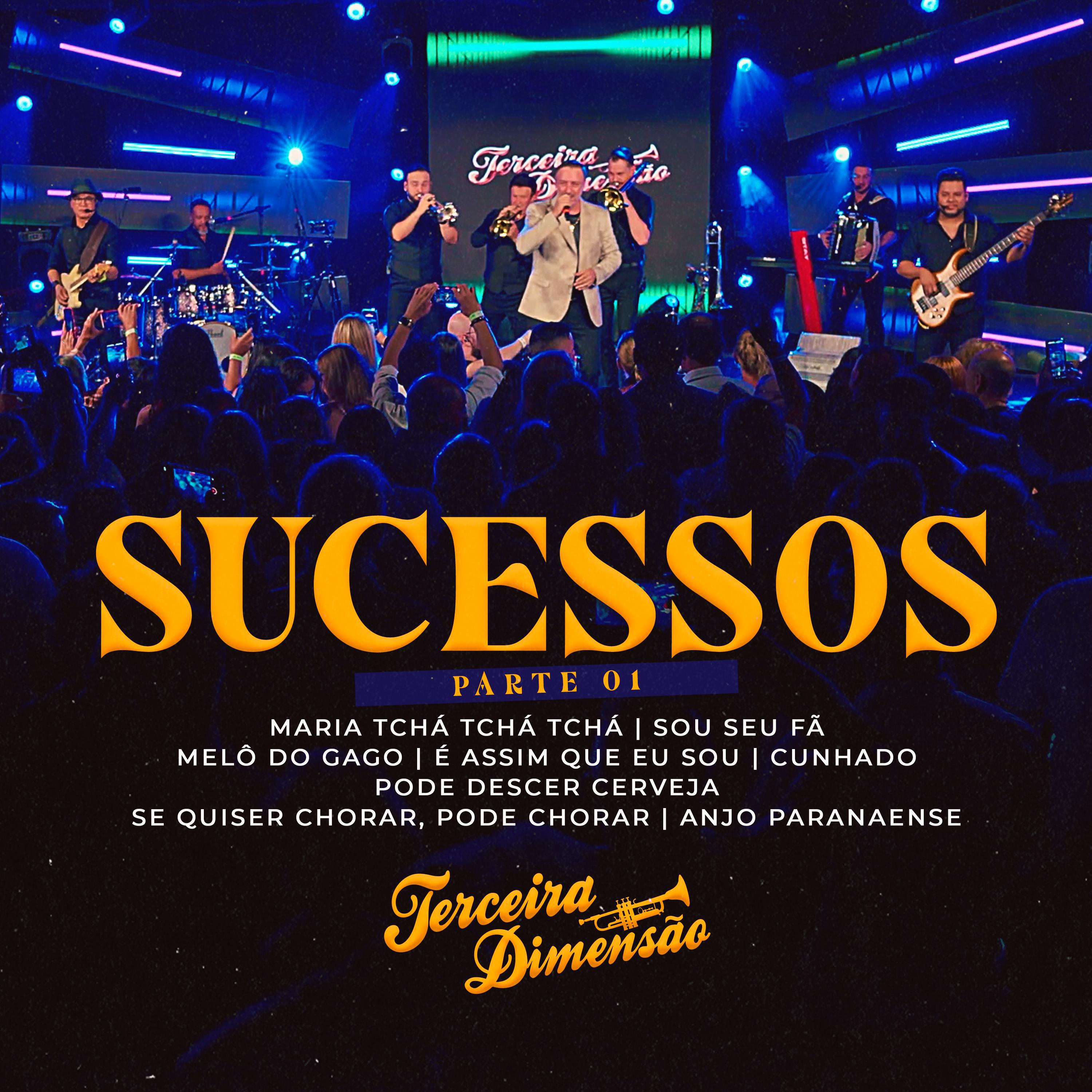 Релиз Sucessos - Parte 1 / Maria Tchá Tchá Tchá / Sou Seu Fã / Melô Do Gago / É Assim Que Eu Sou / Cunhado / Se Quiser Chorar Pode Chorar / Anjo Paranaense