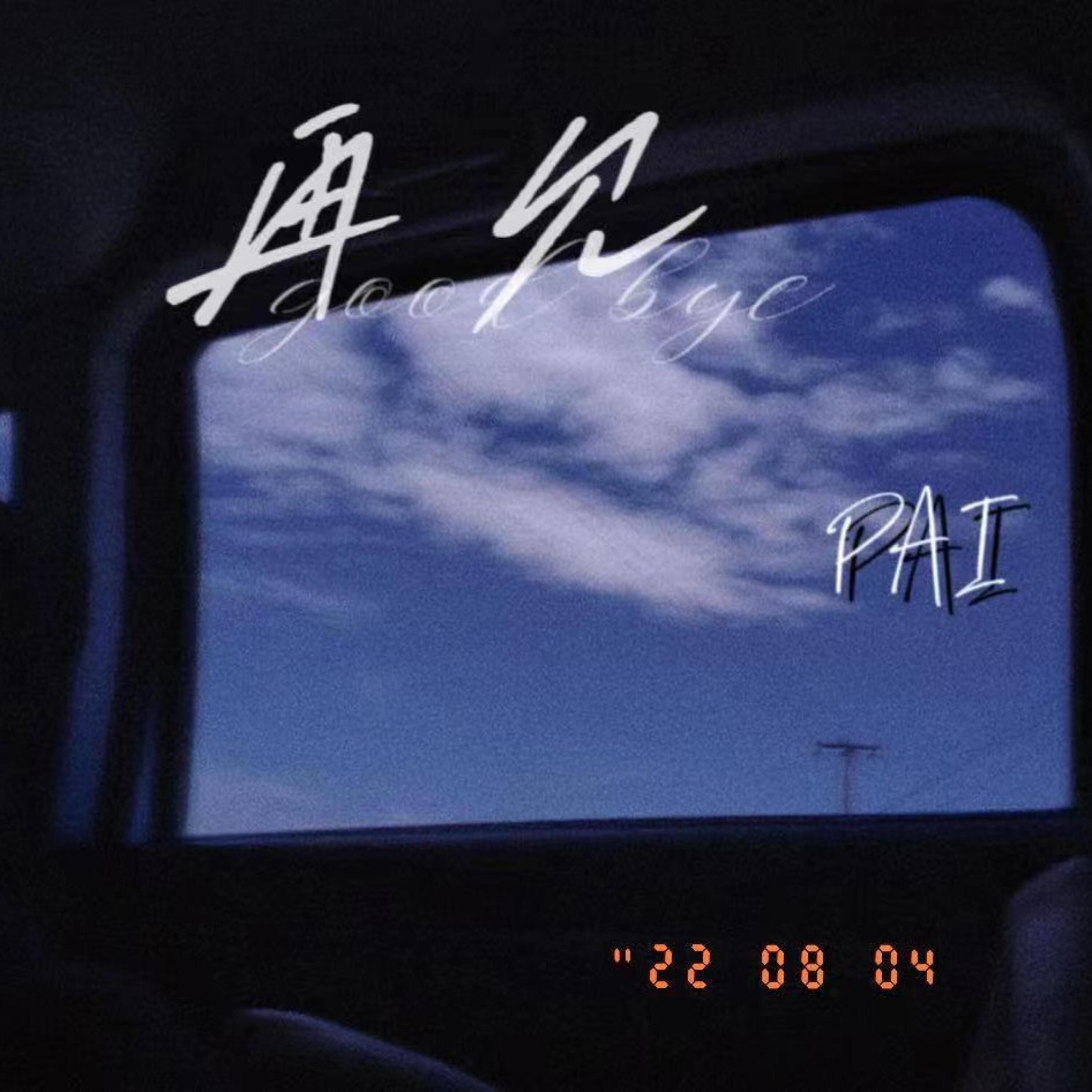 Релиз 再见