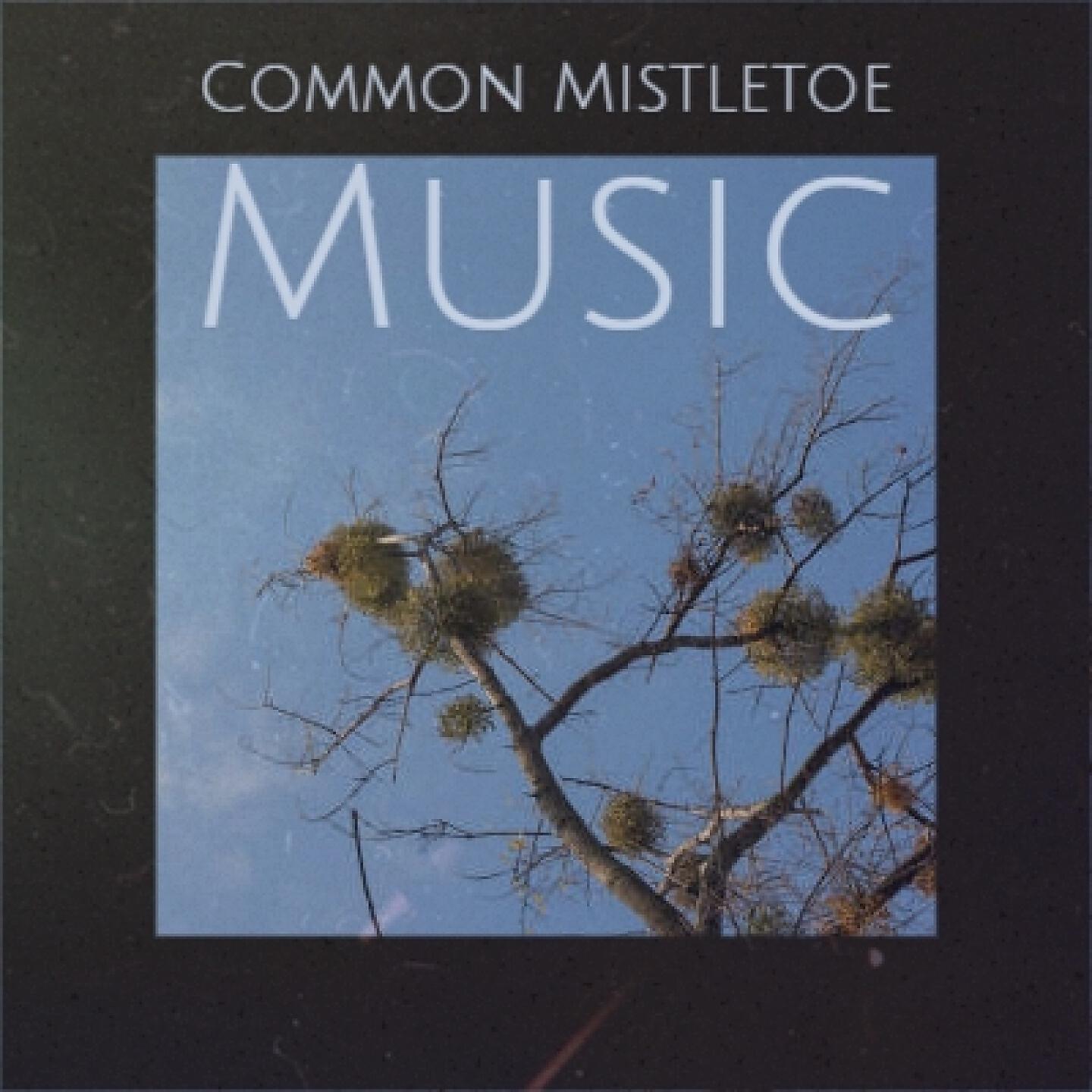 Релиз Common Mistletoe Music