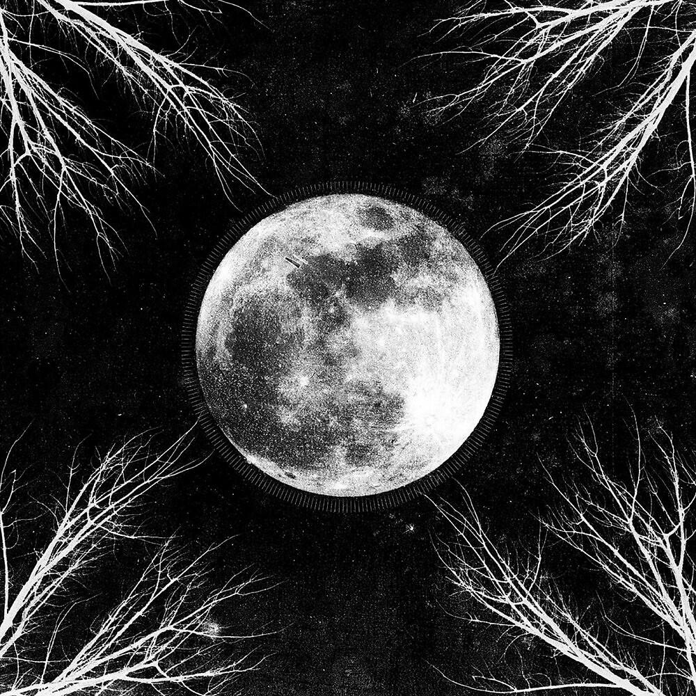 Релиз Pale Moon