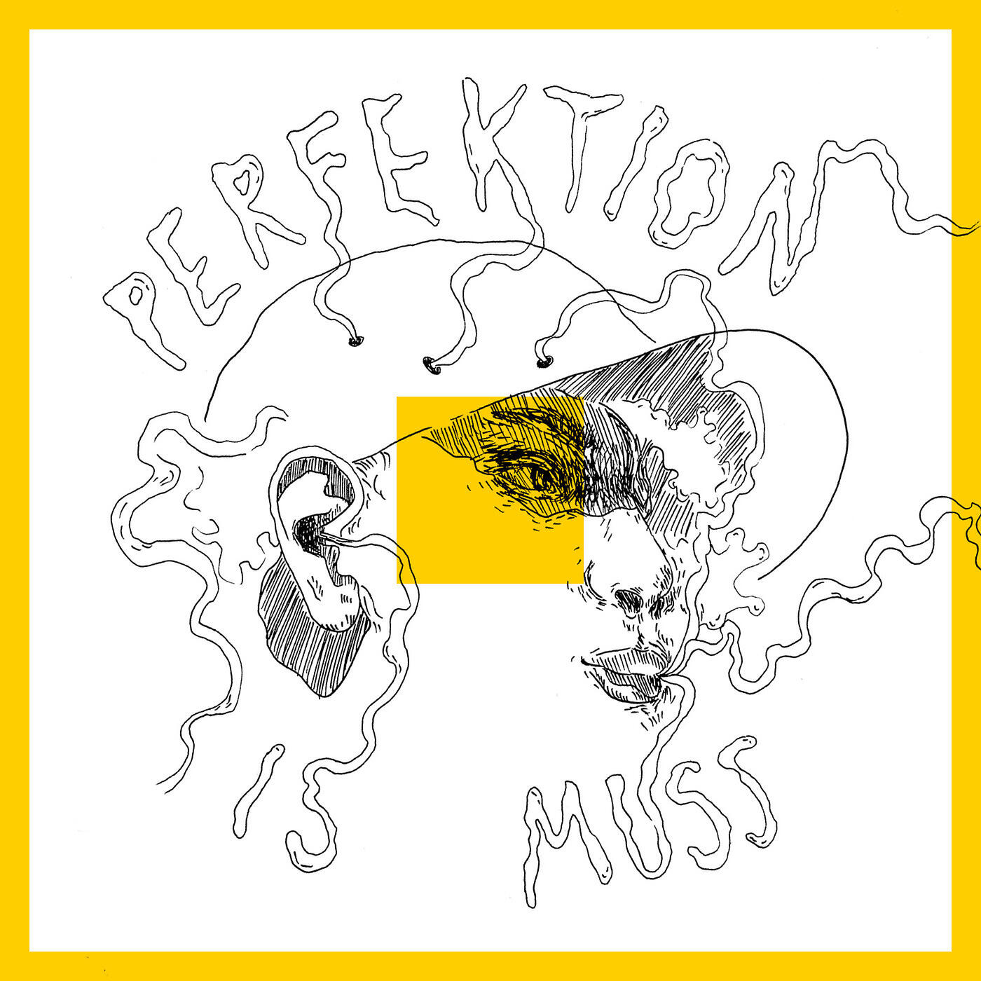 Постер альбома Perfektion Is Muss