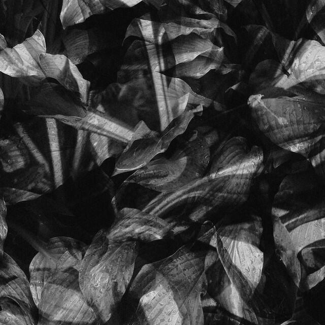 Релиз Fading in Your Unretainable Grasp