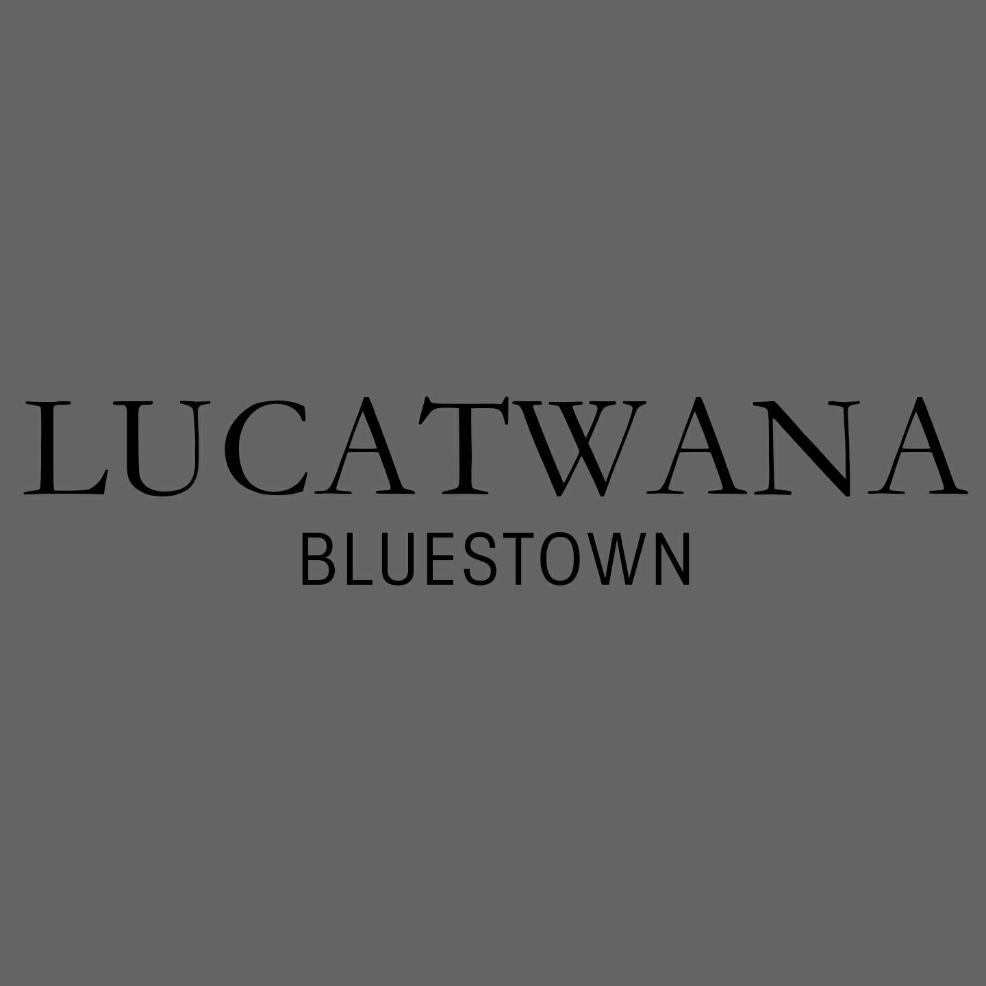 Релиз Bluestown