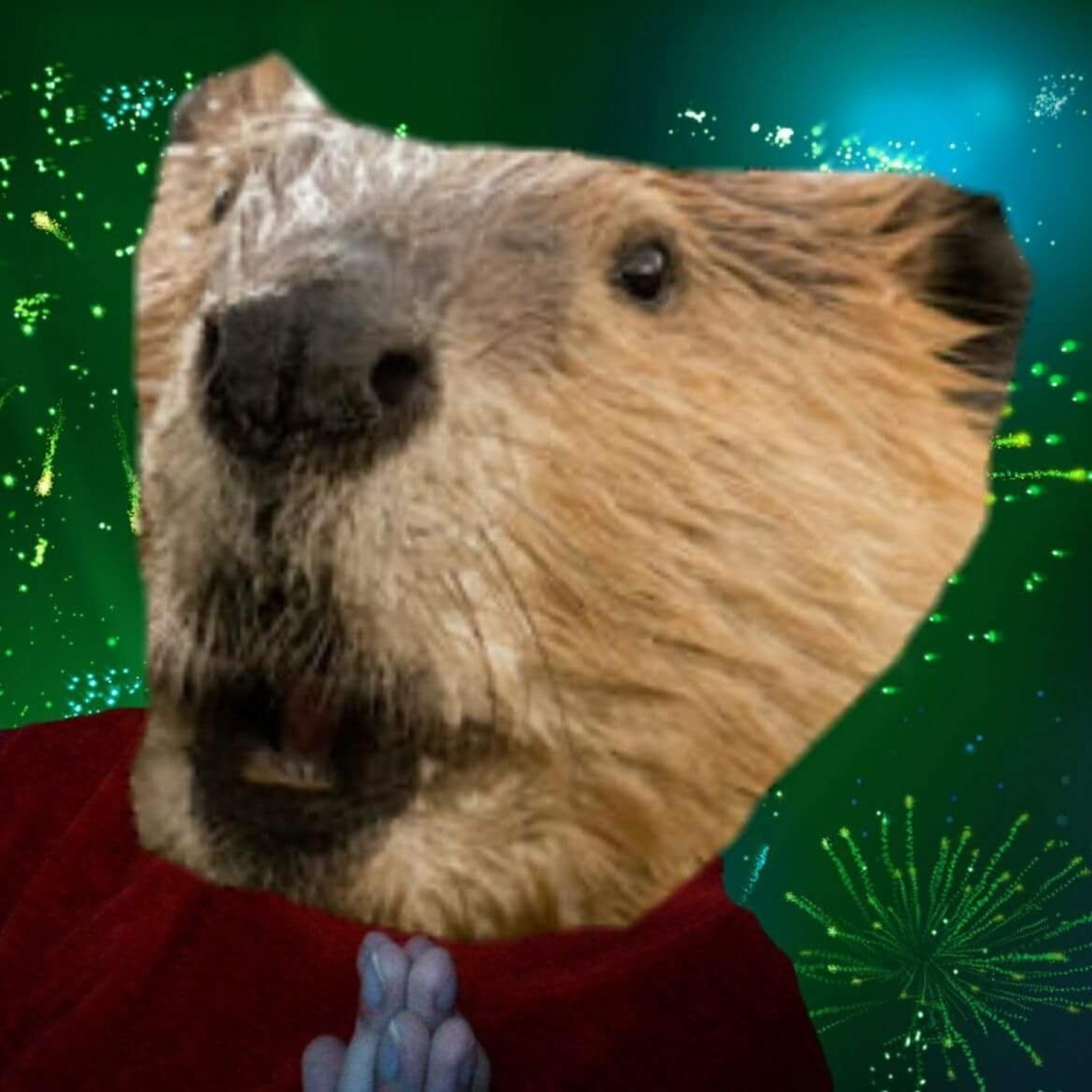 Релиз Beavers' New Year