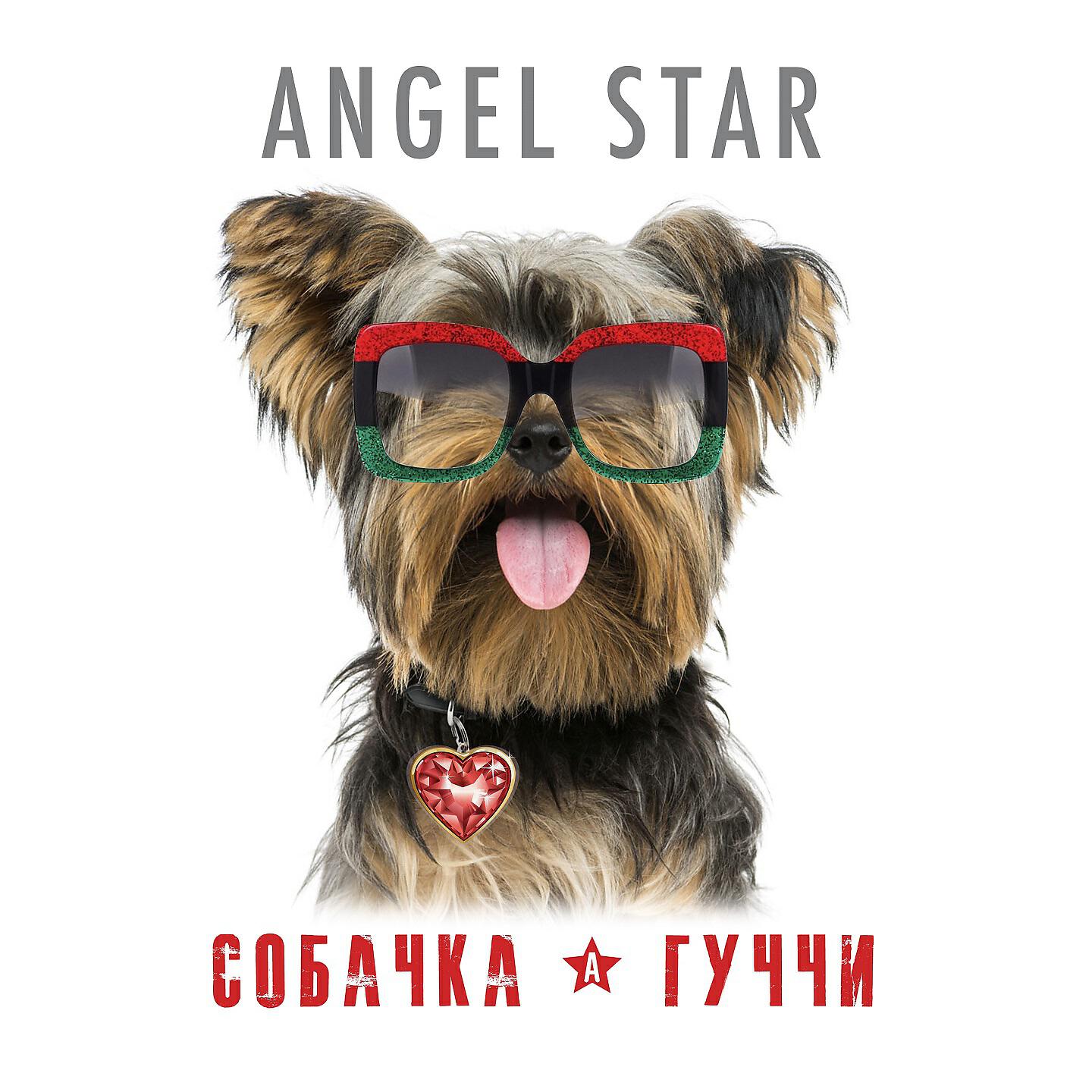 Релиз Собачка Гуччи