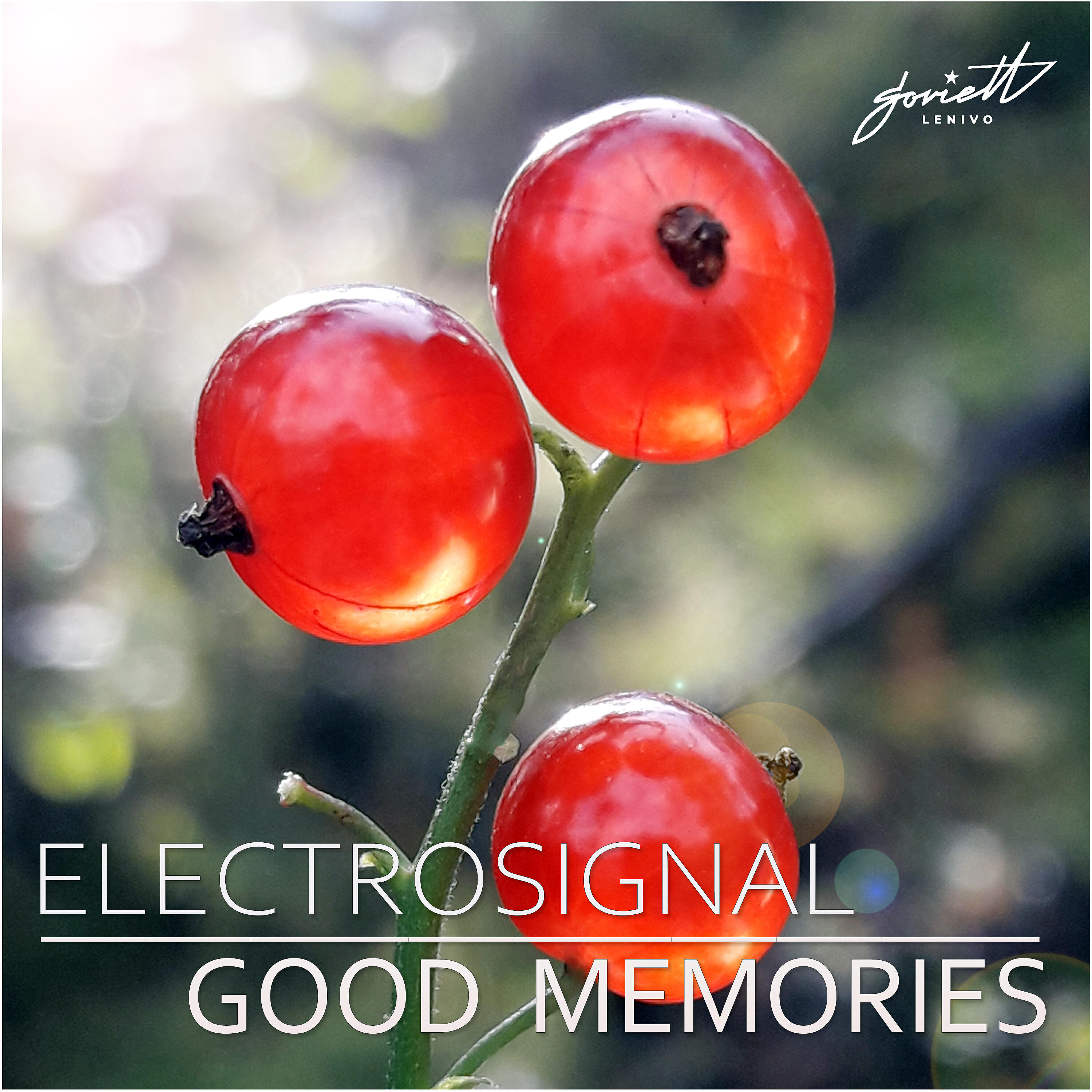 Постер альбома Good Memories