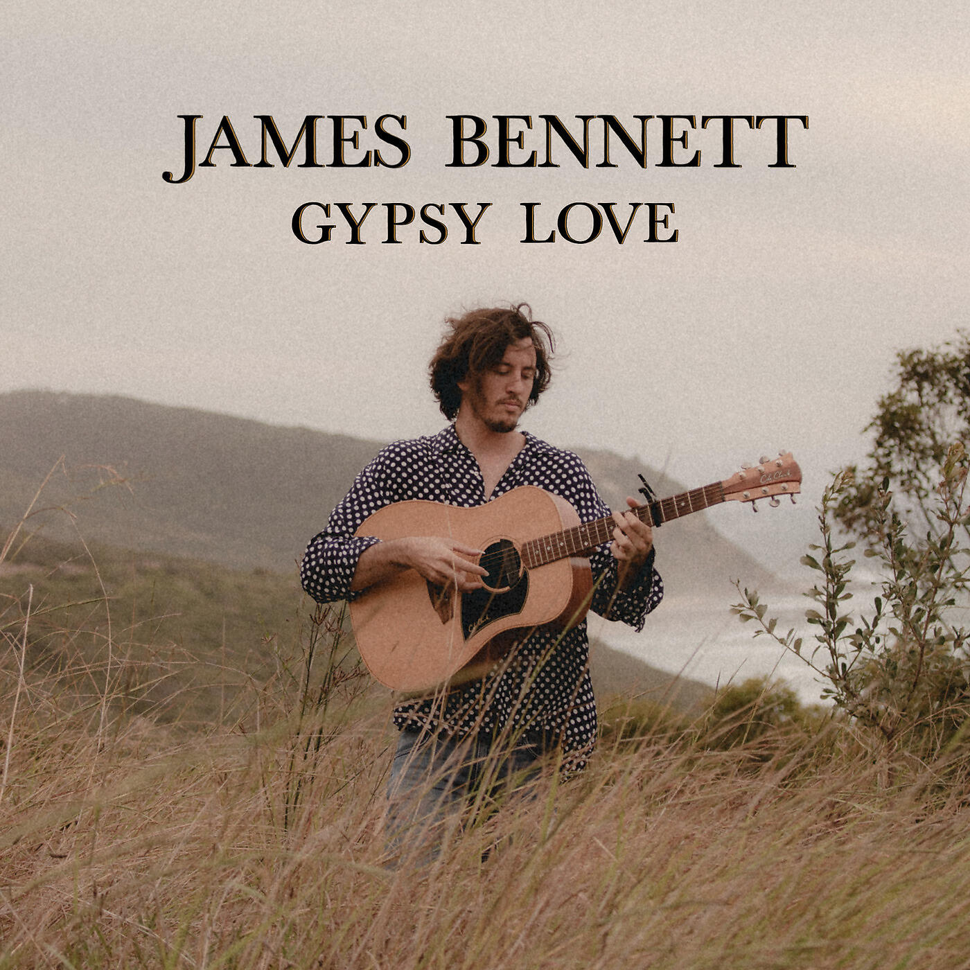 Релиз Gypsy Love