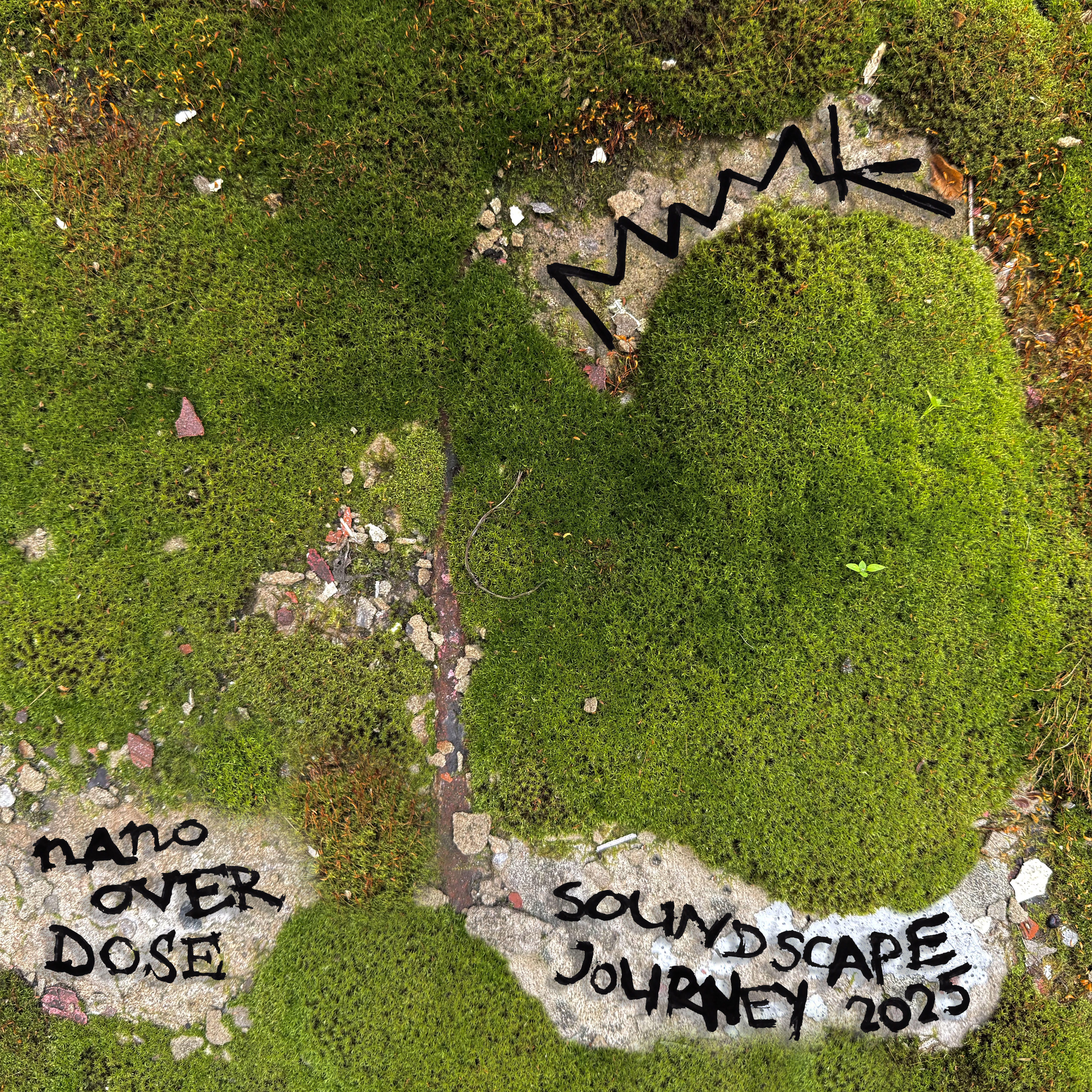 Релиз Nano Overdose (Soundscape Journey)