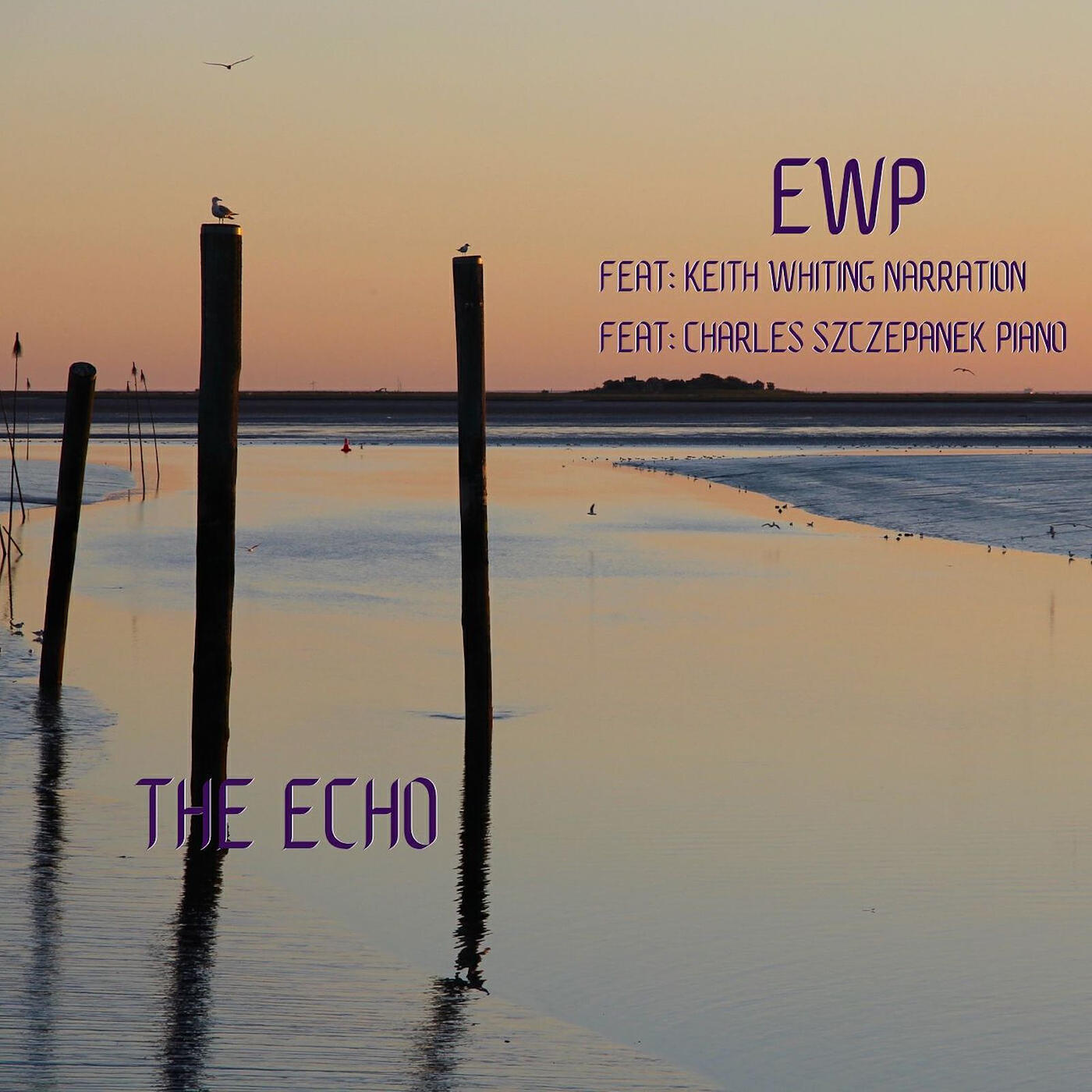 Релиз The Echo