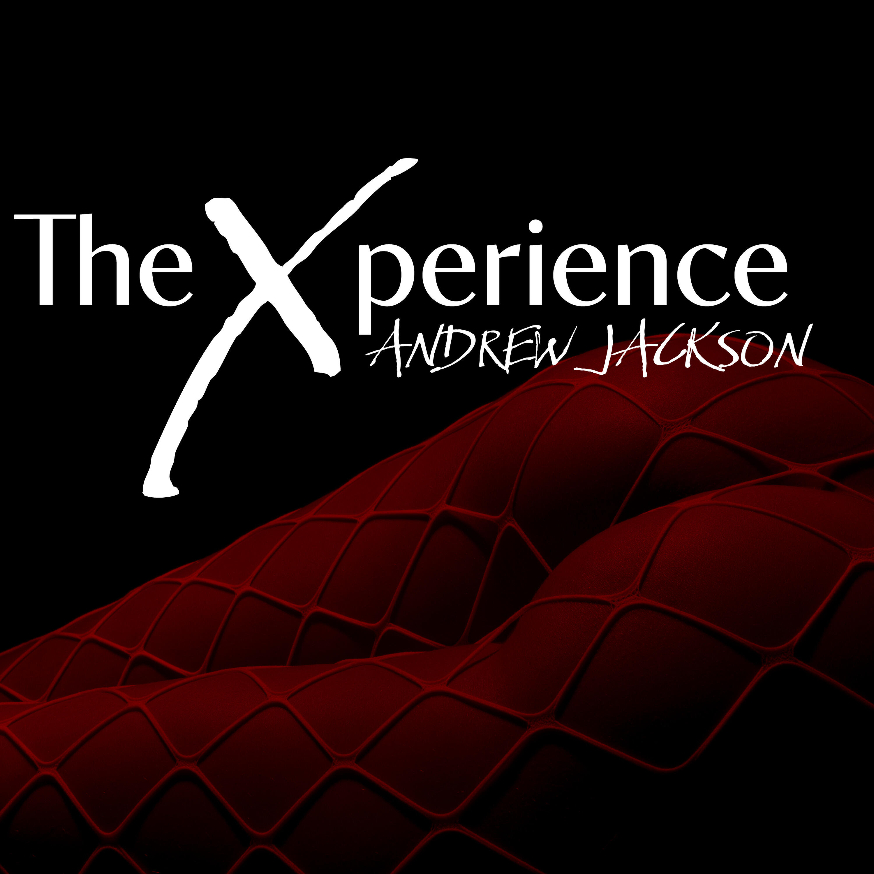 Релиз The Xperience