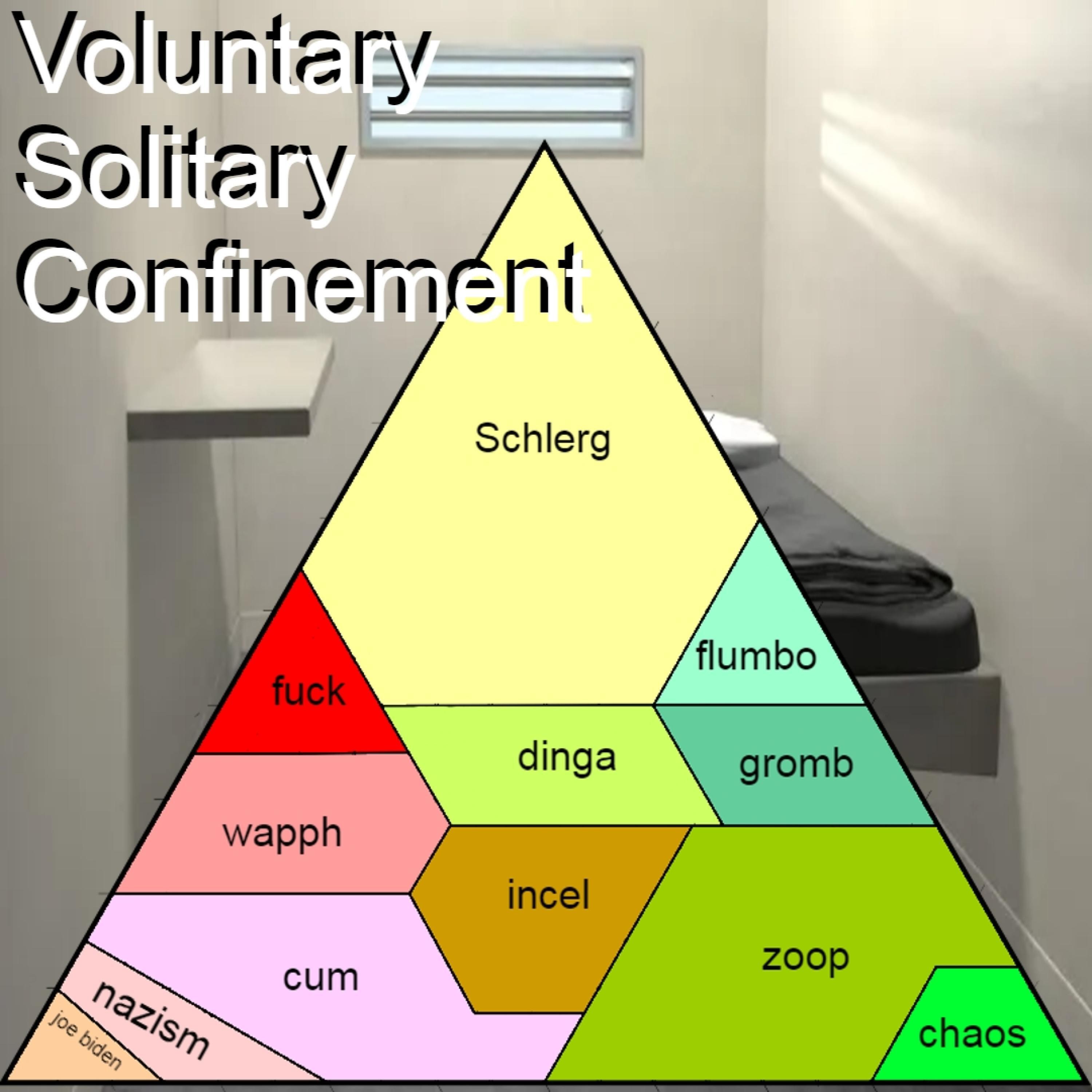 Релиз Voluntary Solitary Confinement
