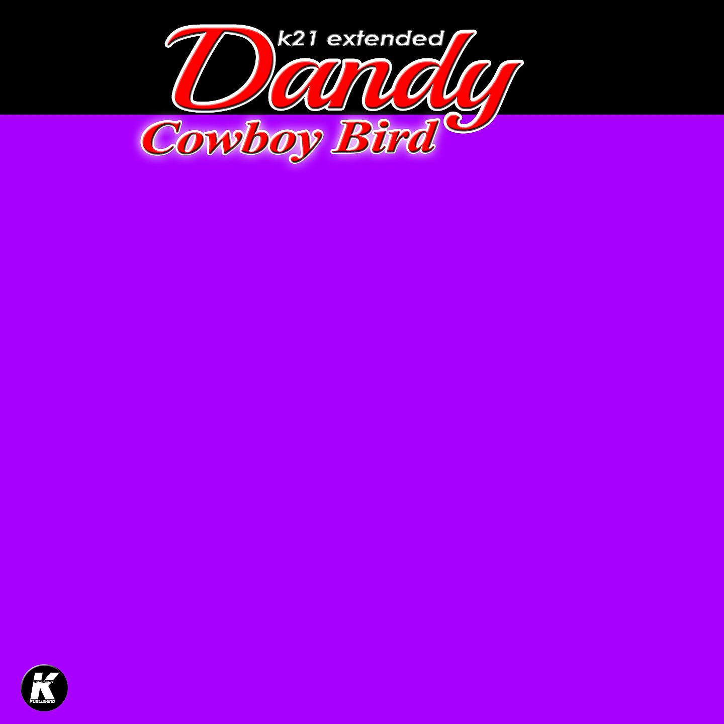 Релиз Cowboy Bird