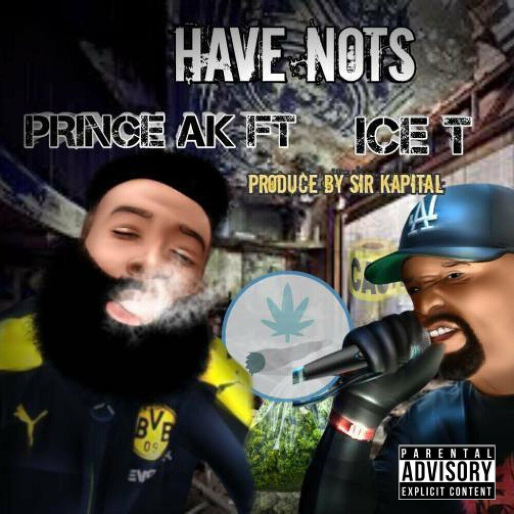 Релиз Have Nots