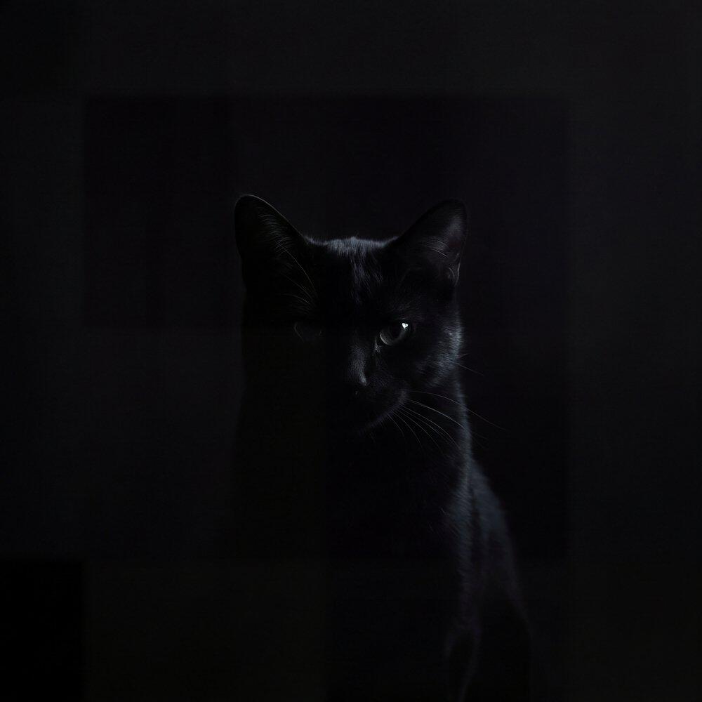 Релиз MCMXCV