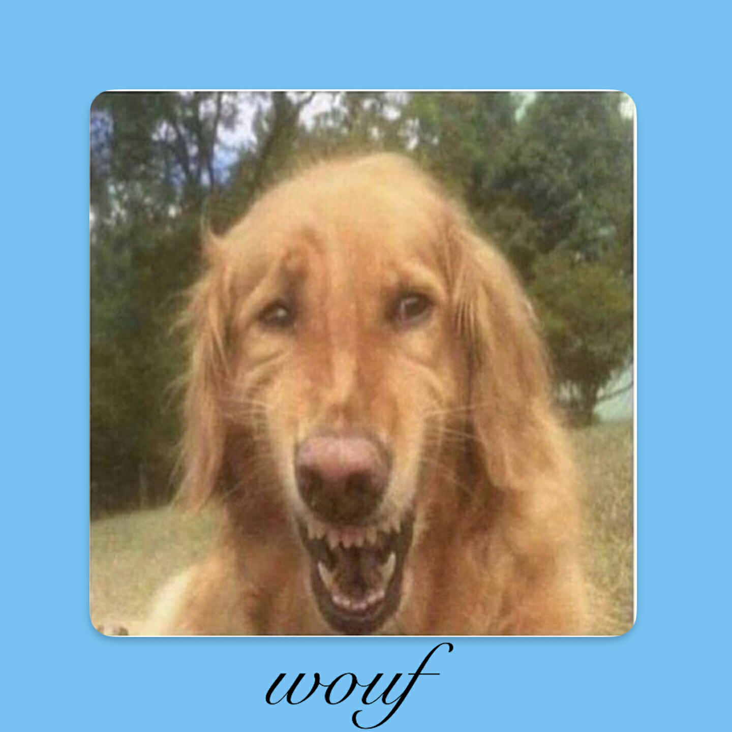 Релиз wouf