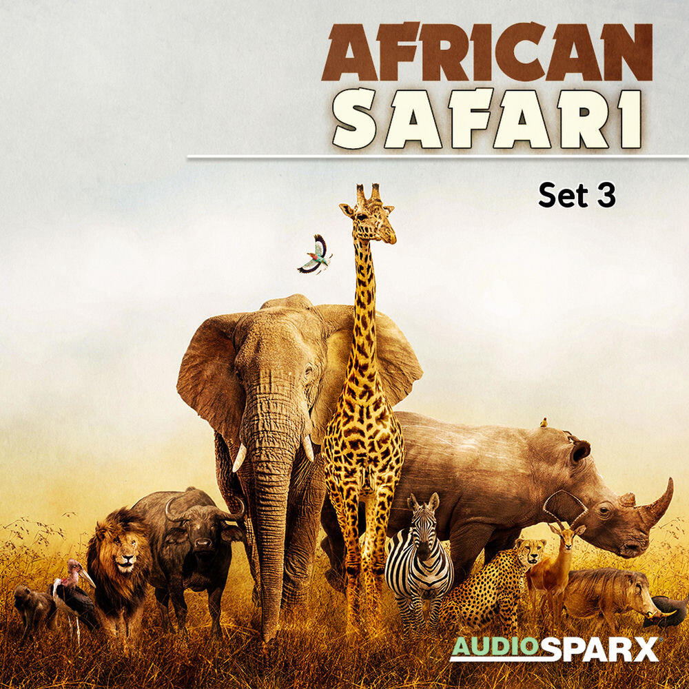 Релиз African Safari, Set 3