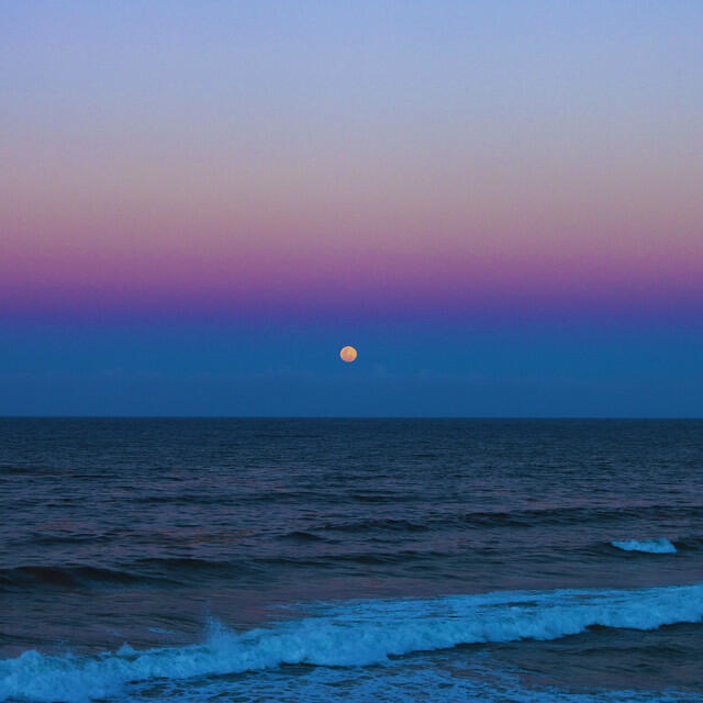 Релиз Celestial Bliss
