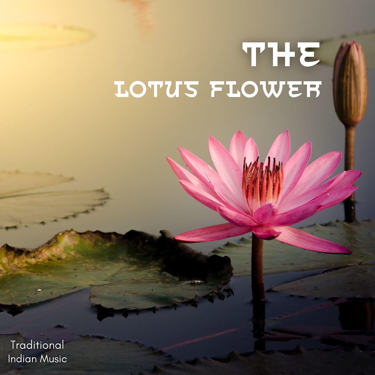 Релиз The Lotus Flower (हिन्दुस्तानी)