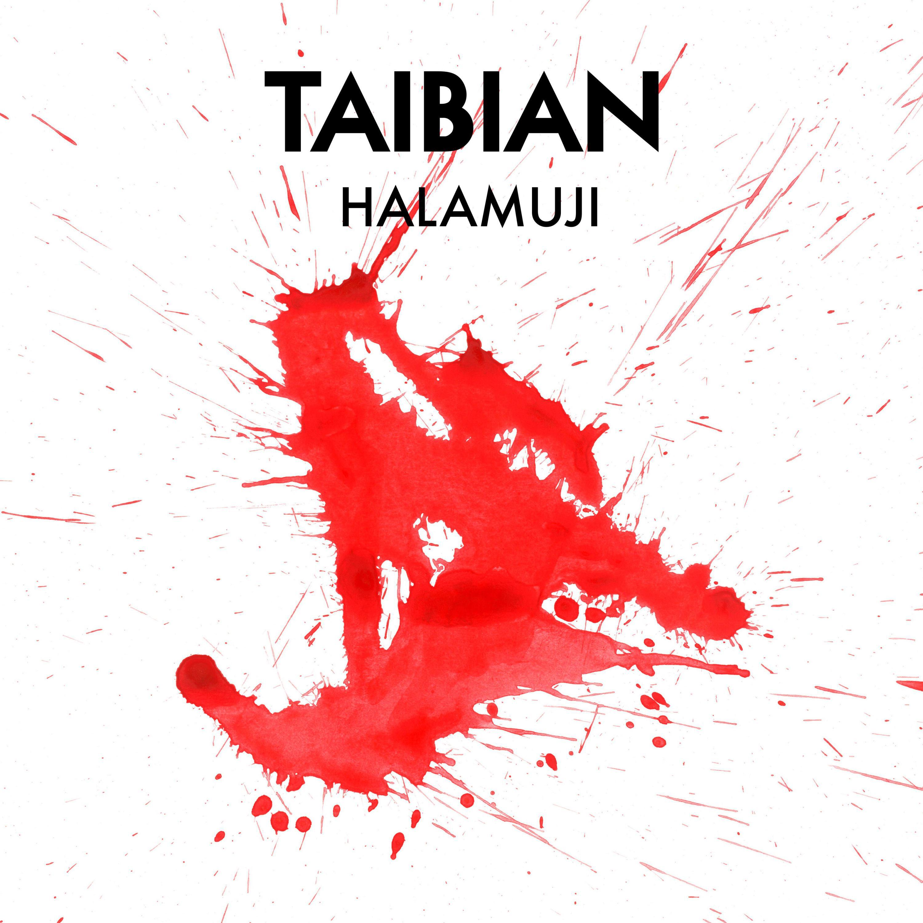 Релиз Taibian
