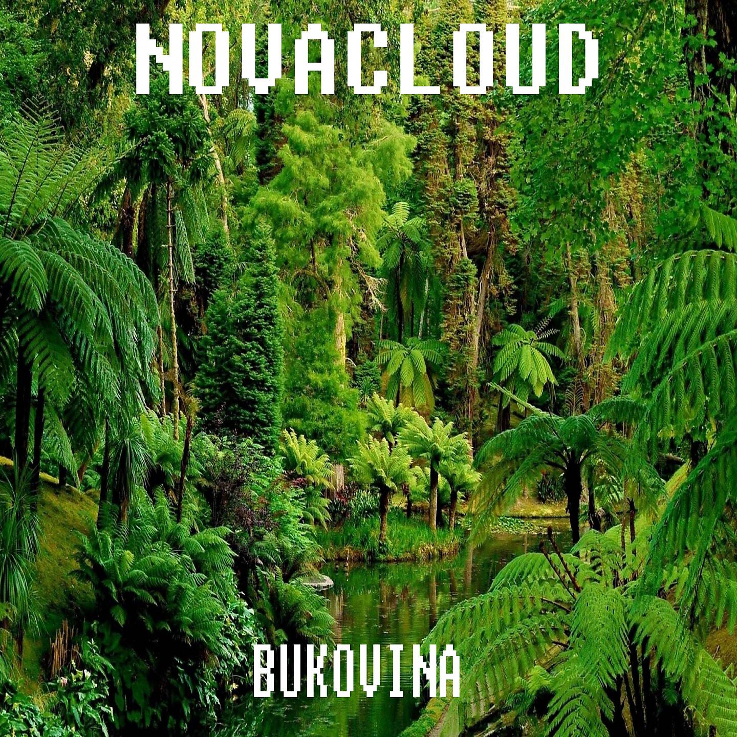 Релиз Bukovina