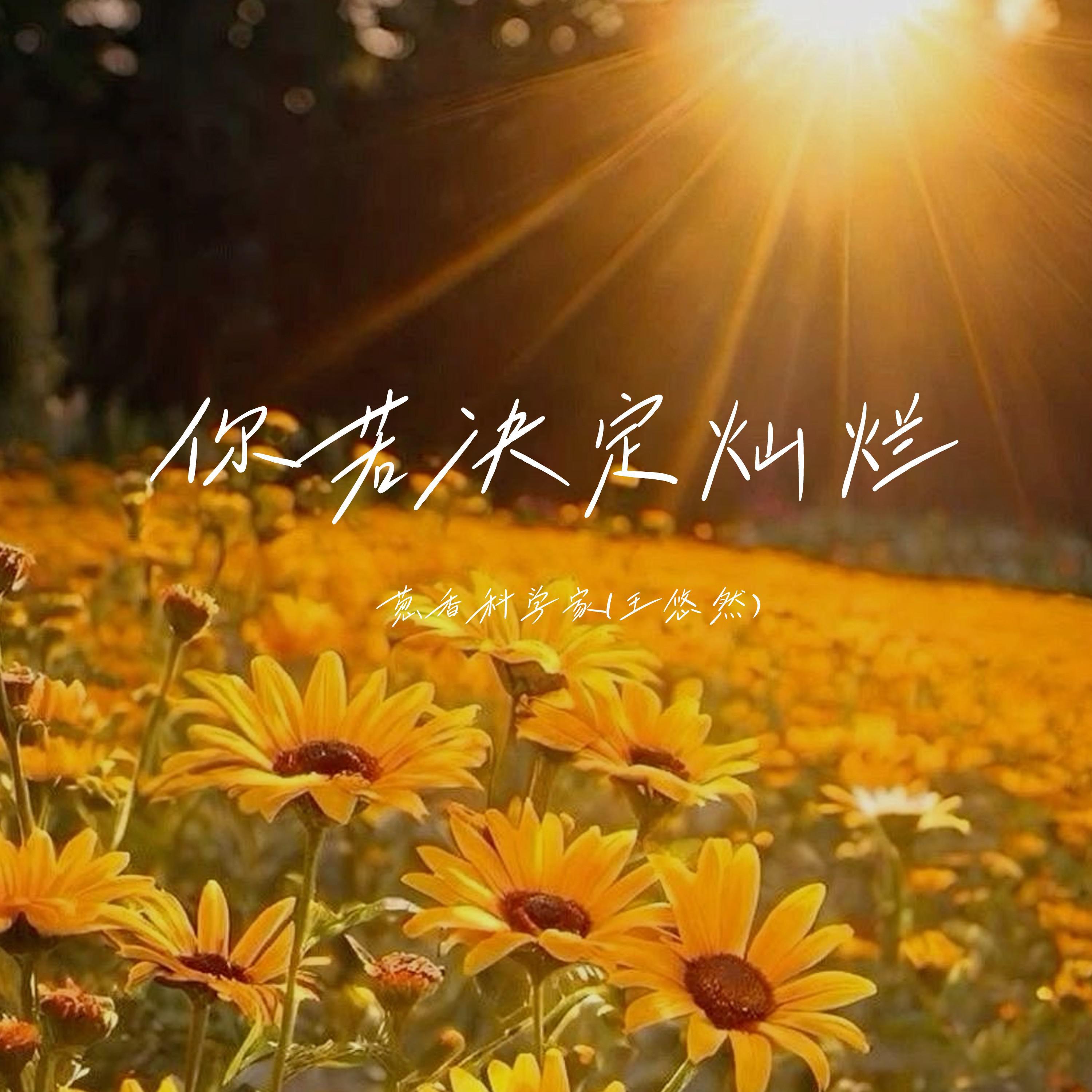 Релиз 你若决定灿烂