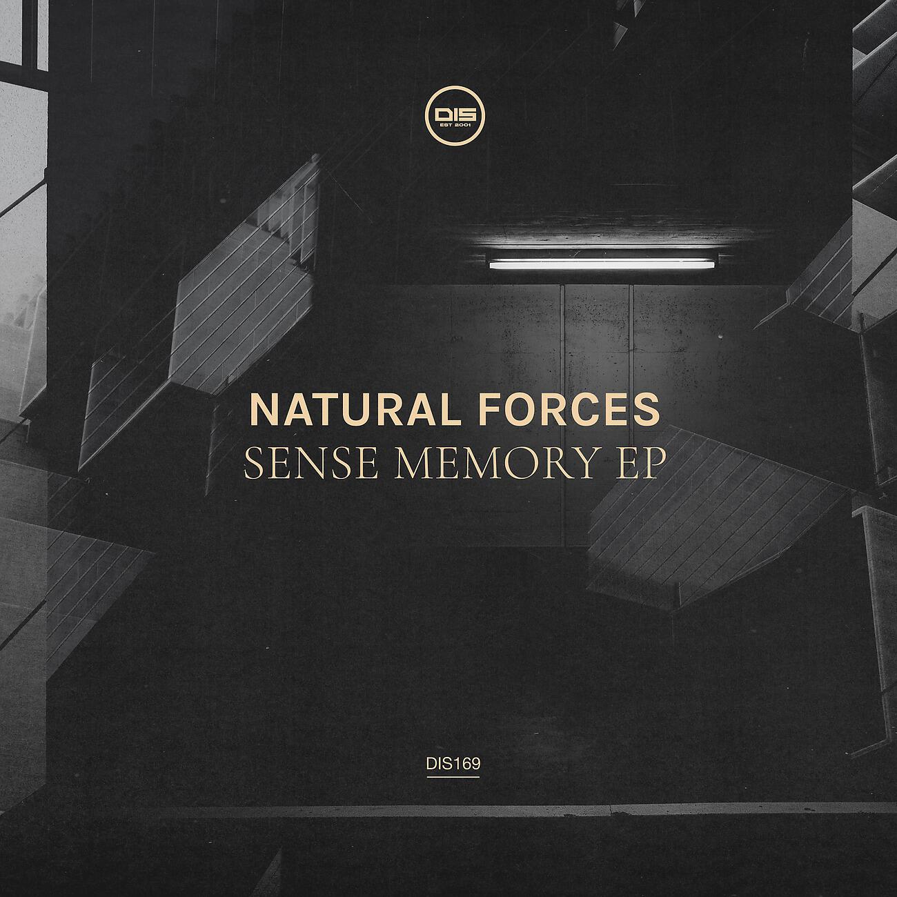 Релиз Sense Memory EP
