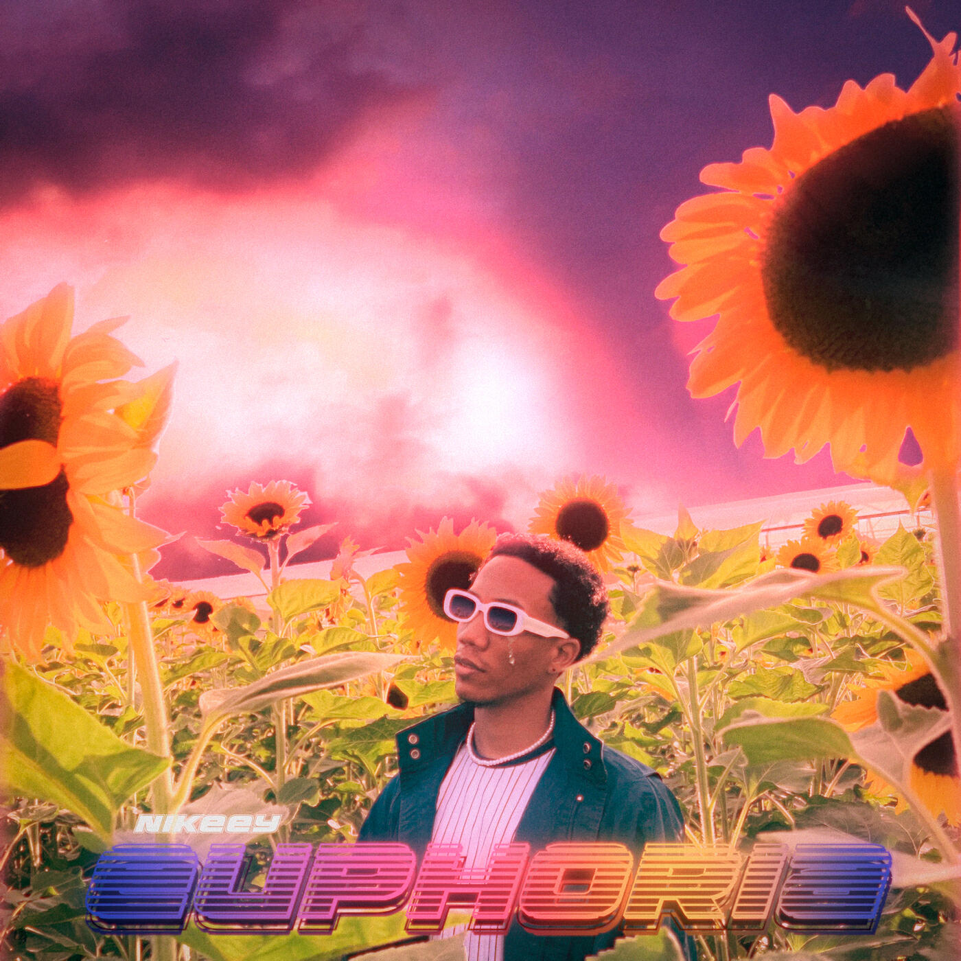 Релиз Euphoria