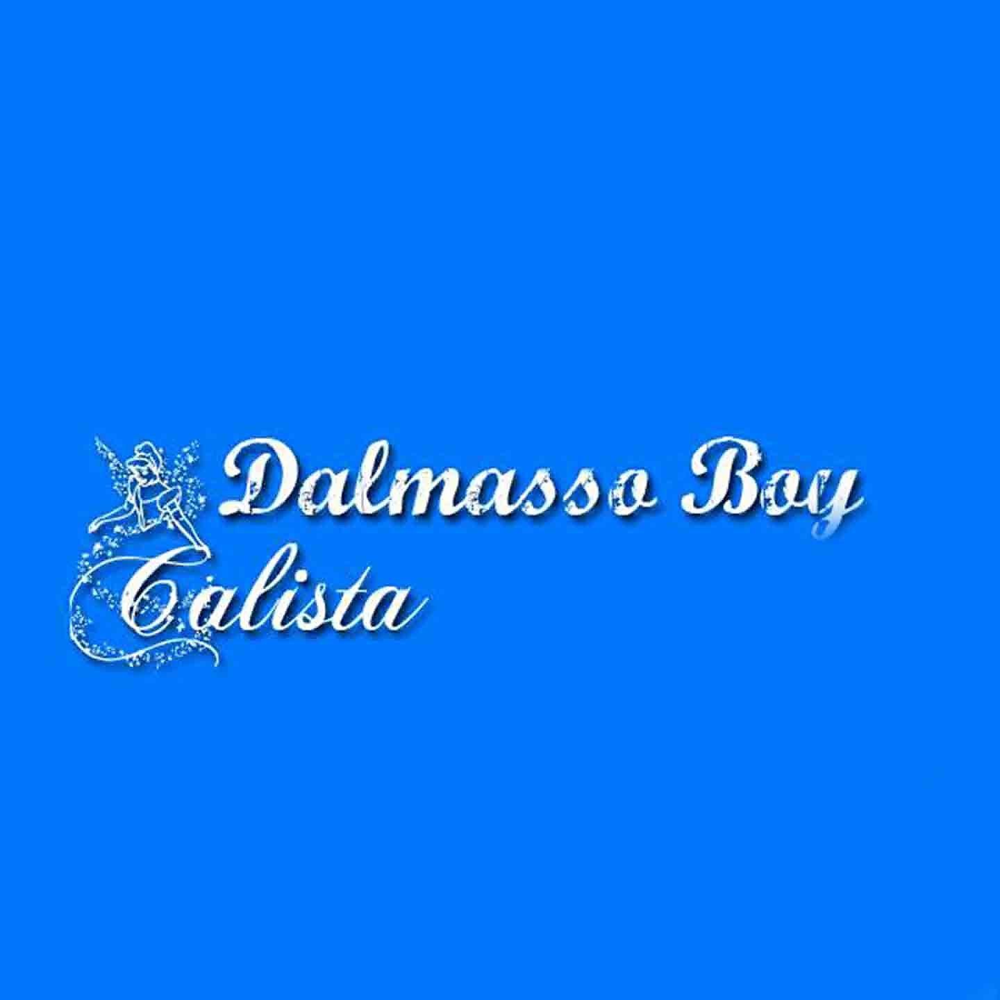Релиз Calista