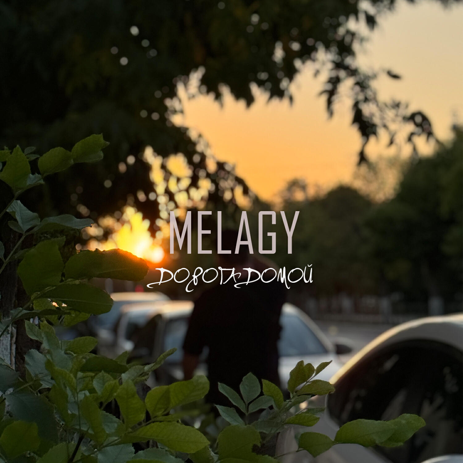 Релиз Дорога домой
