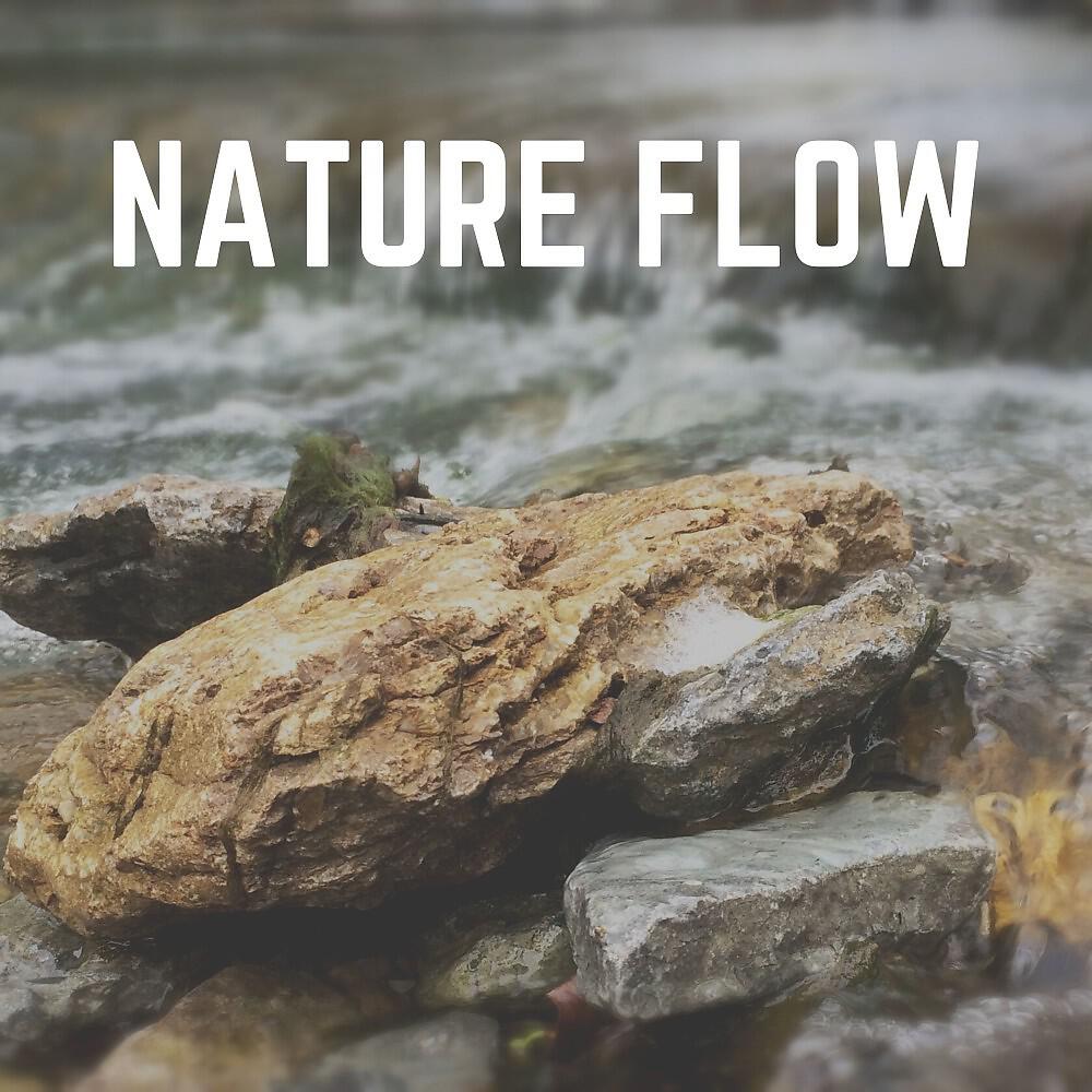 Релиз Nature Flow
