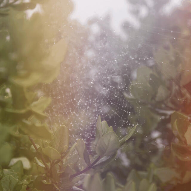 Релиз Perfect H