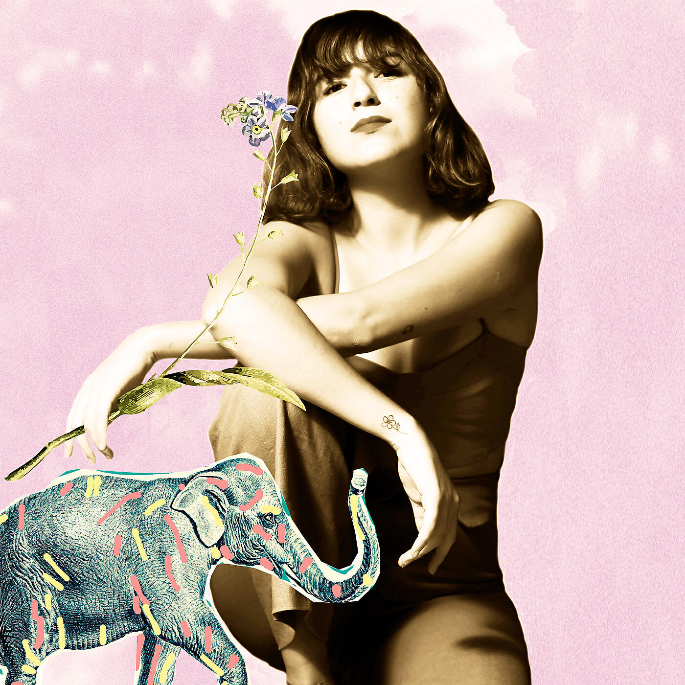 Релиз Elefante da Sorte