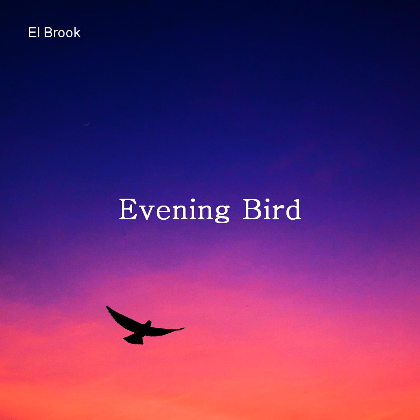 Релиз Evening Bird