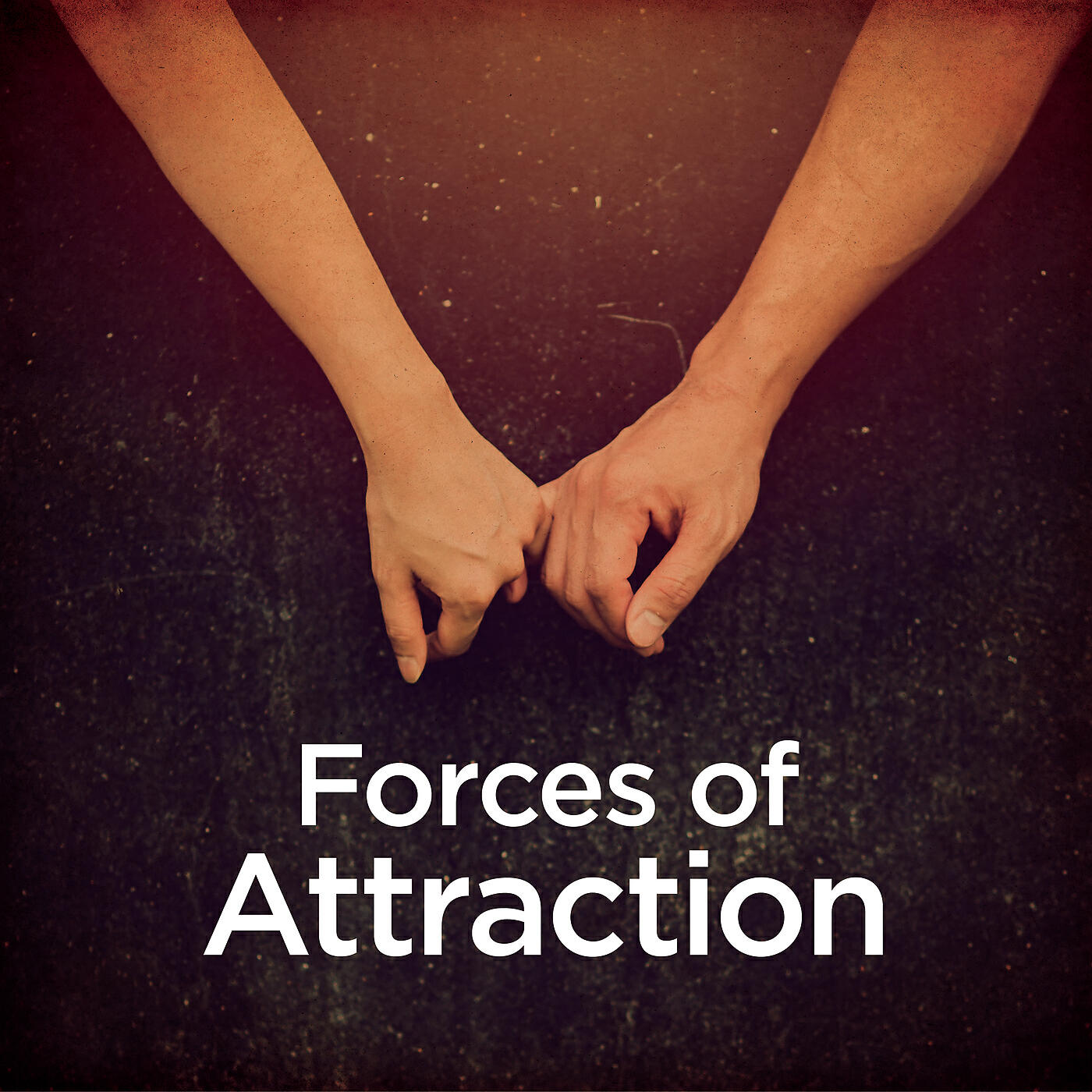Релиз Forces of Attraction